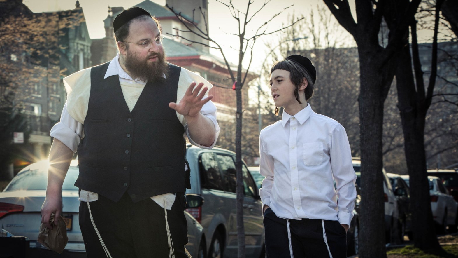 Backdrop for Menashe