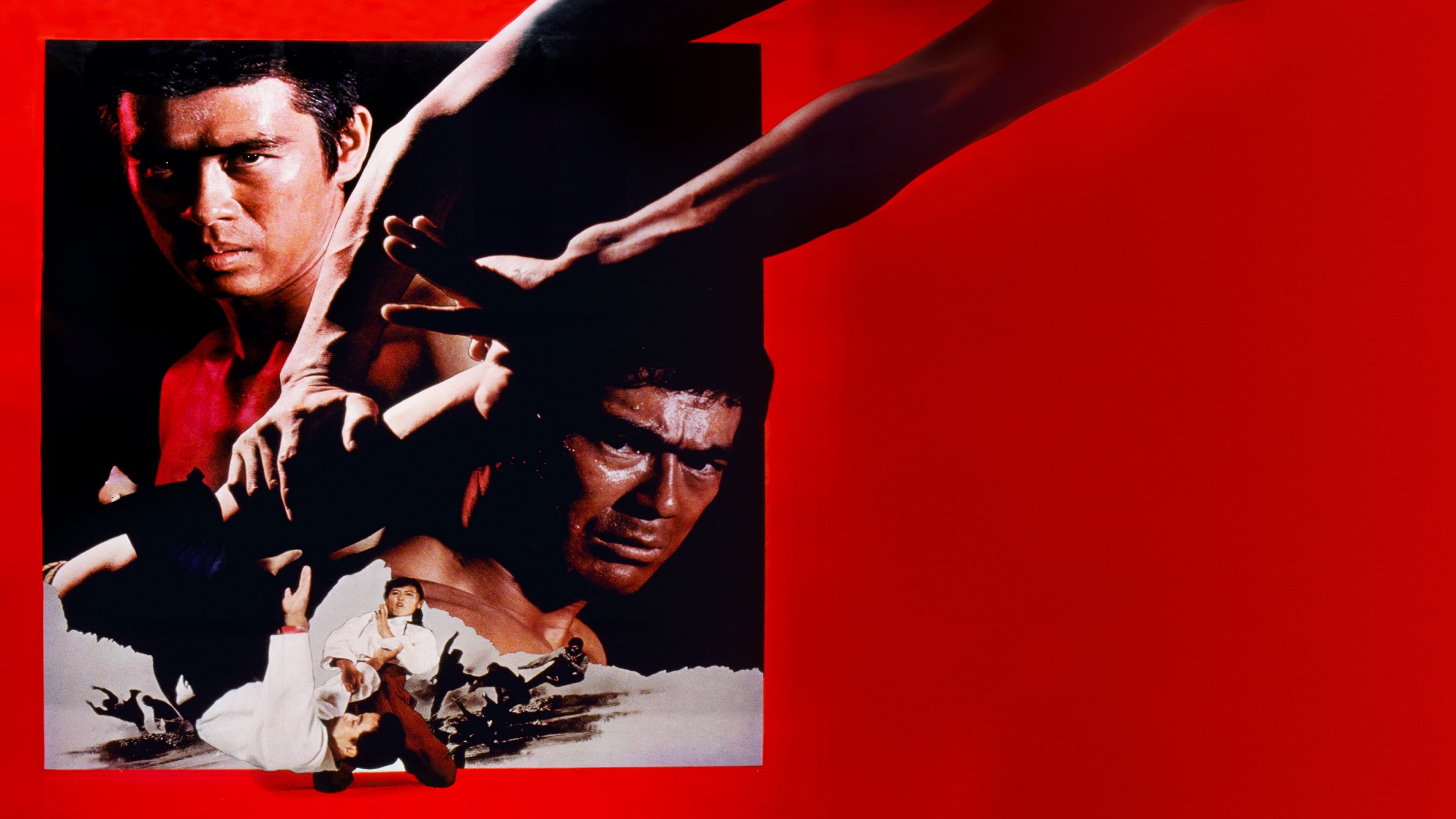 Backdrop for The Decisive Power of Aikido