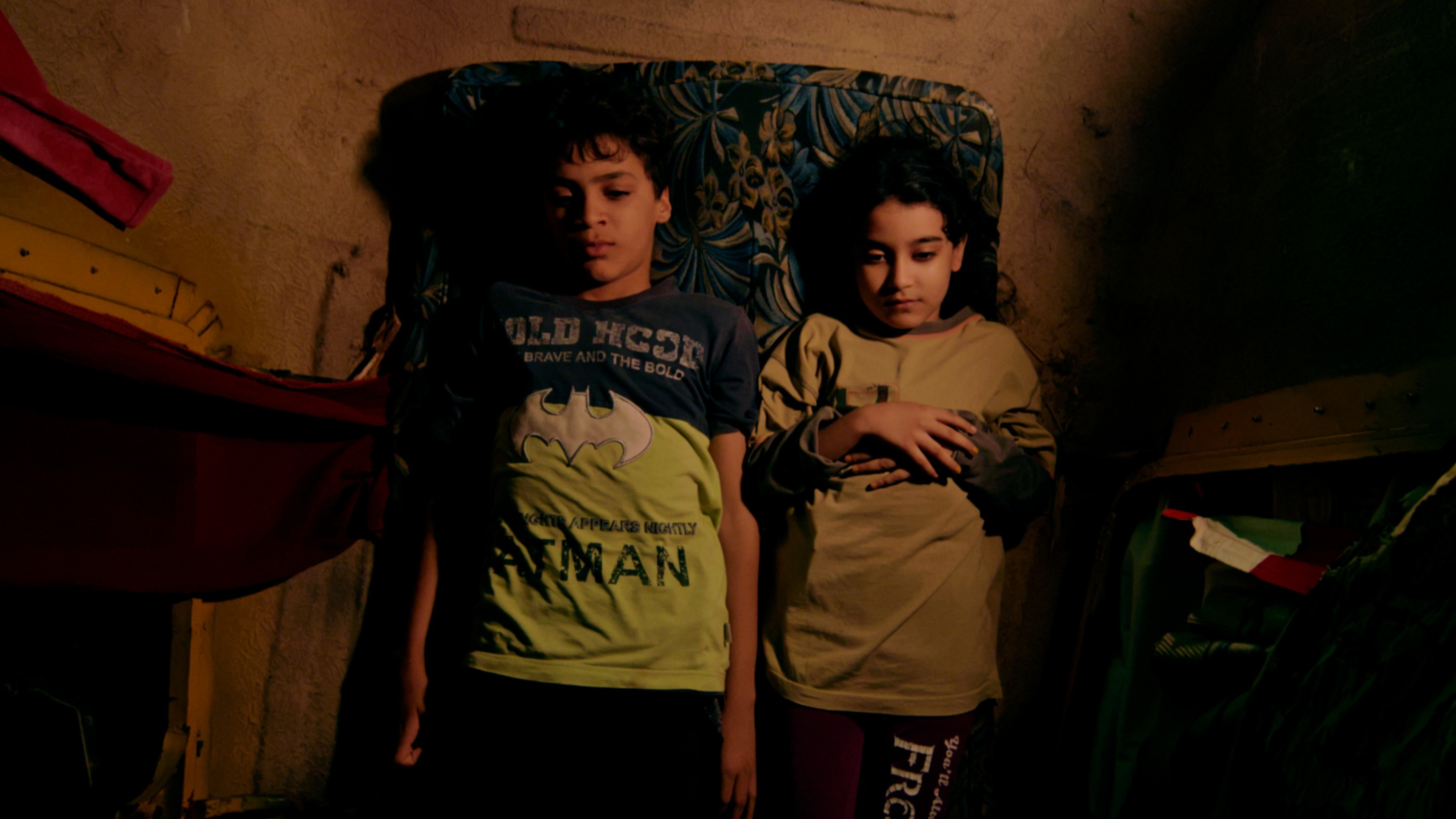 Backdrop for Bird Trap