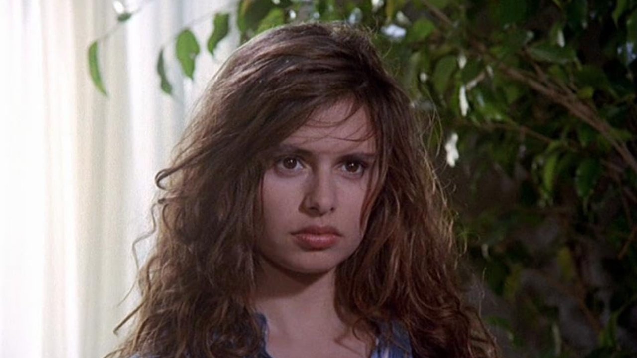 Backdrop for The Smile of the Fox