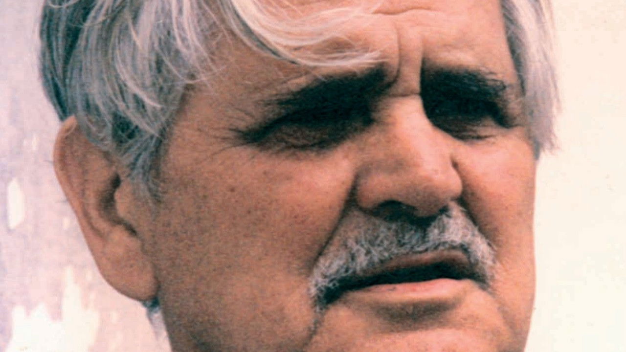 Backdrop for The rooster and the dawn