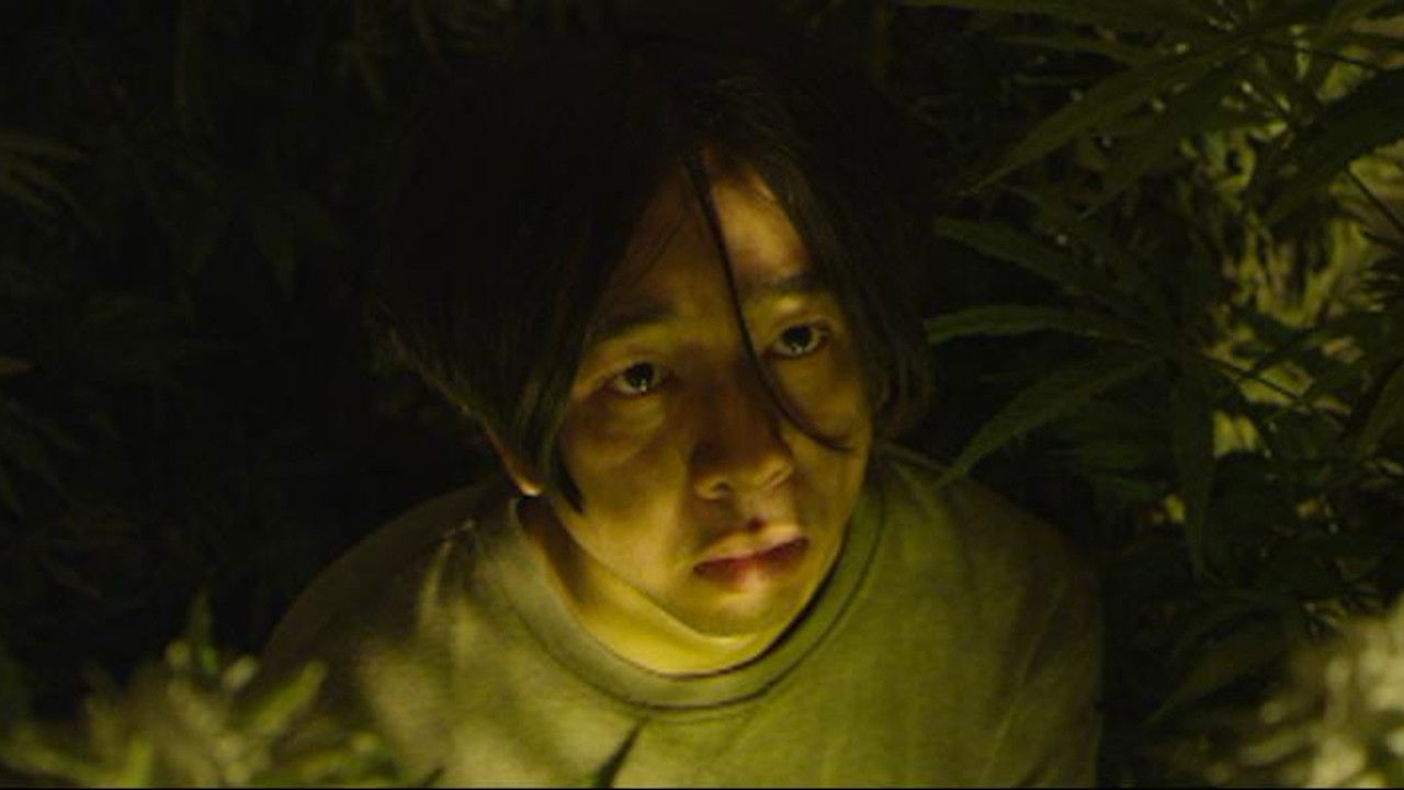 Backdrop for The Trip