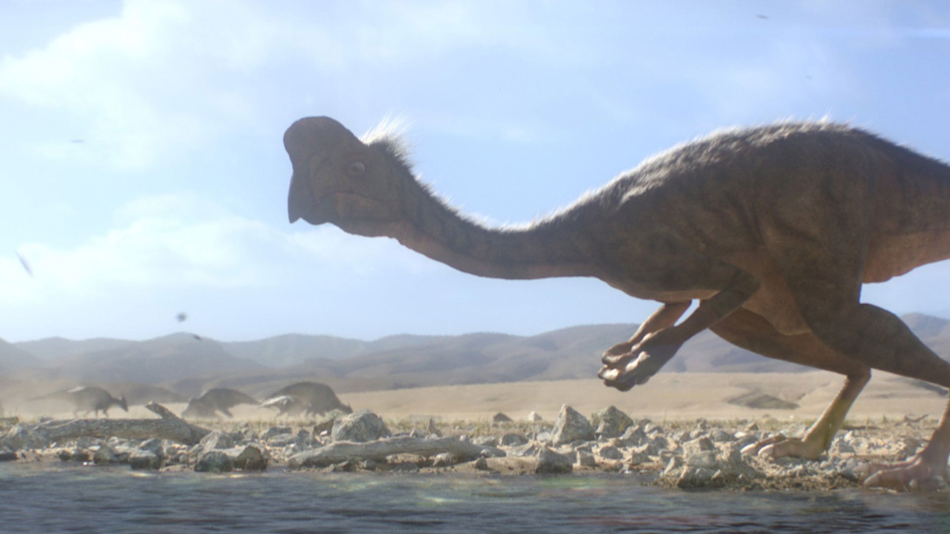 Backdrop for Citipati