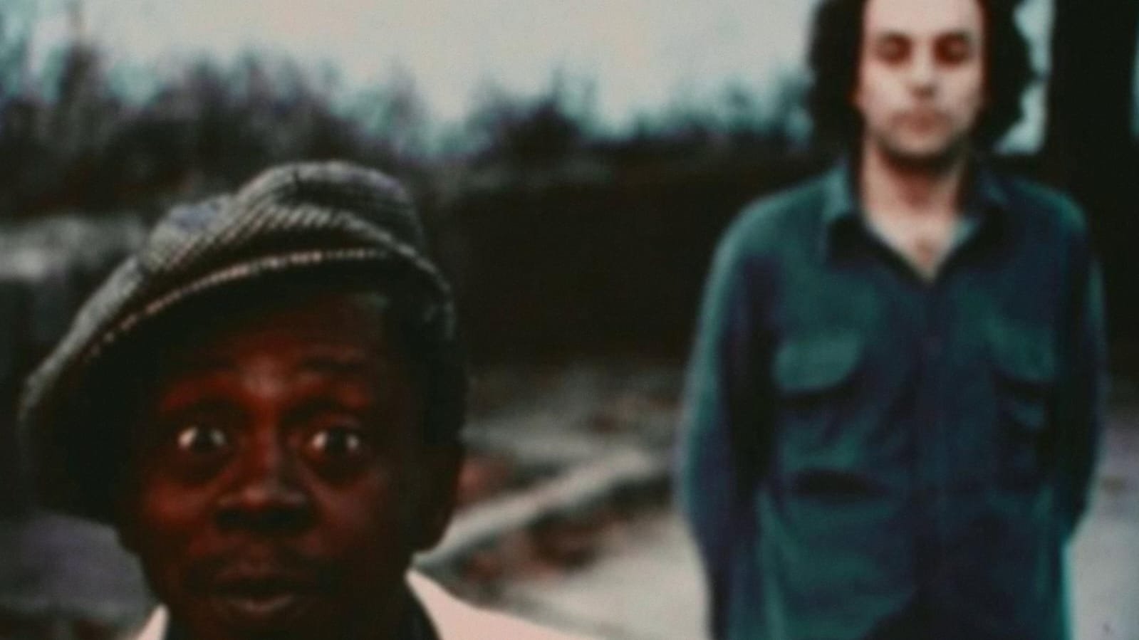 Backdrop for Chinese Viola