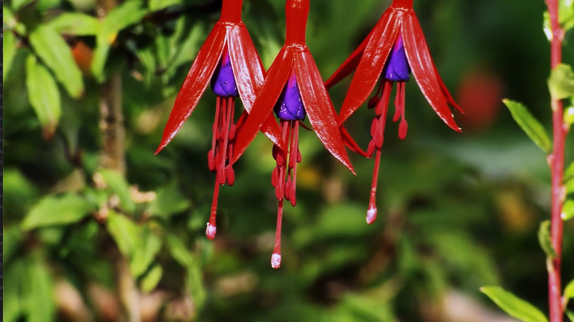 Backdrop for Fascinating Places
