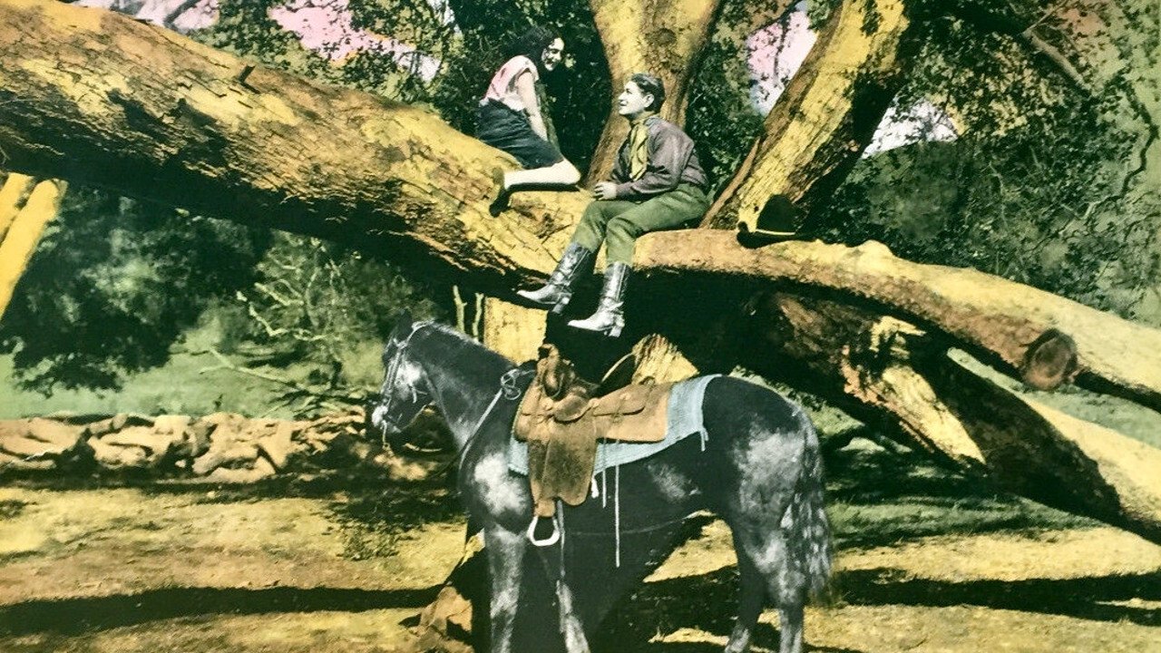 Backdrop for The Wild Girl