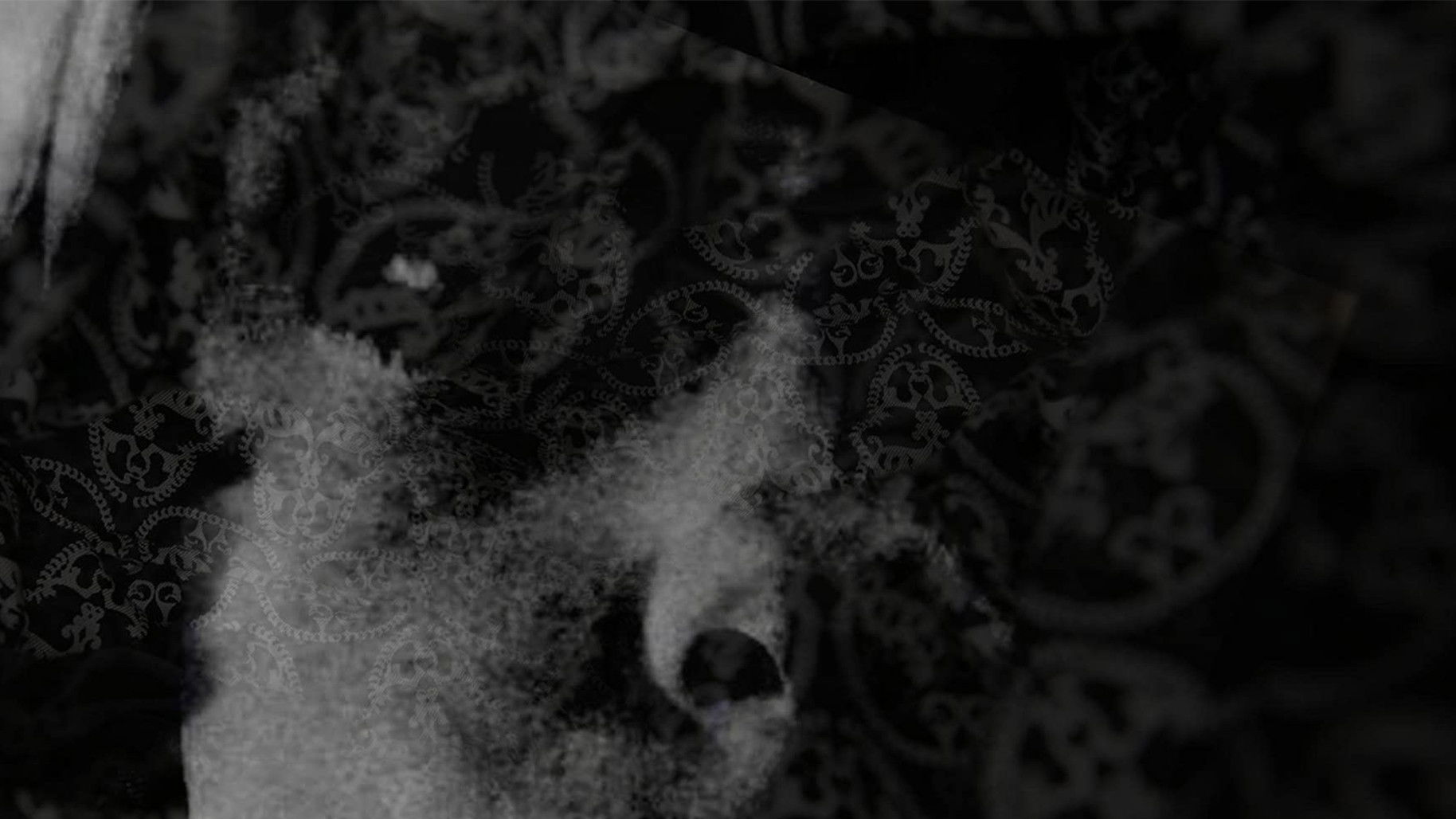 Backdrop for Her Satanic Majesty