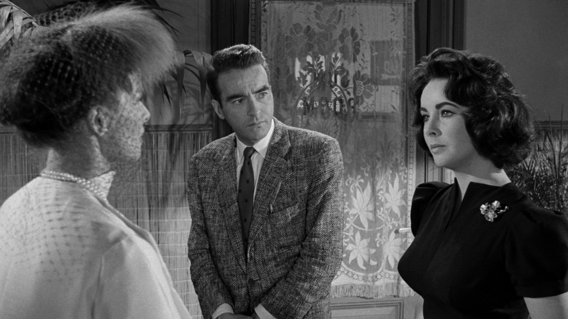 Backdrop for Le Prédateur et la proie