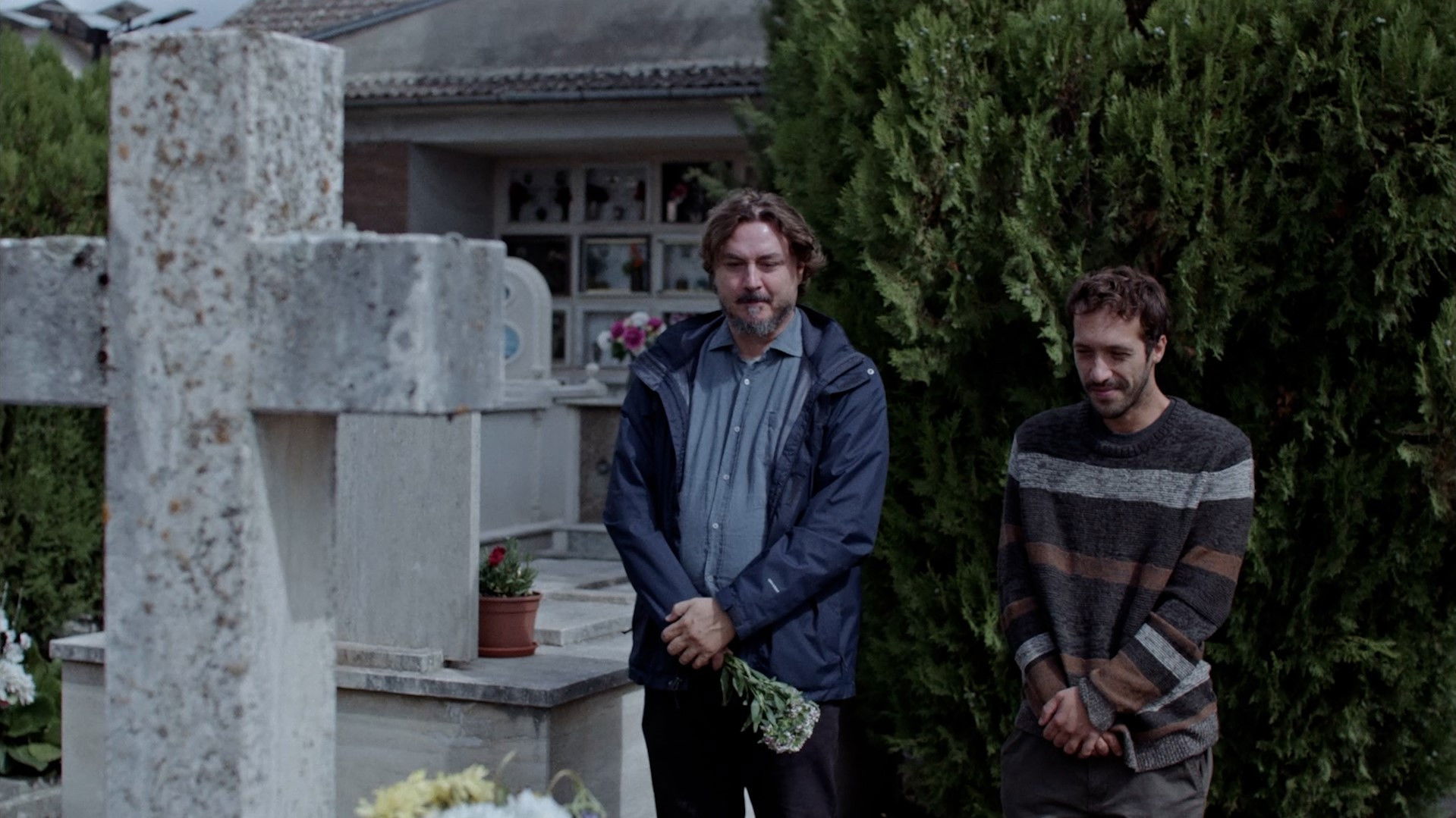 Backdrop for Among The Trees