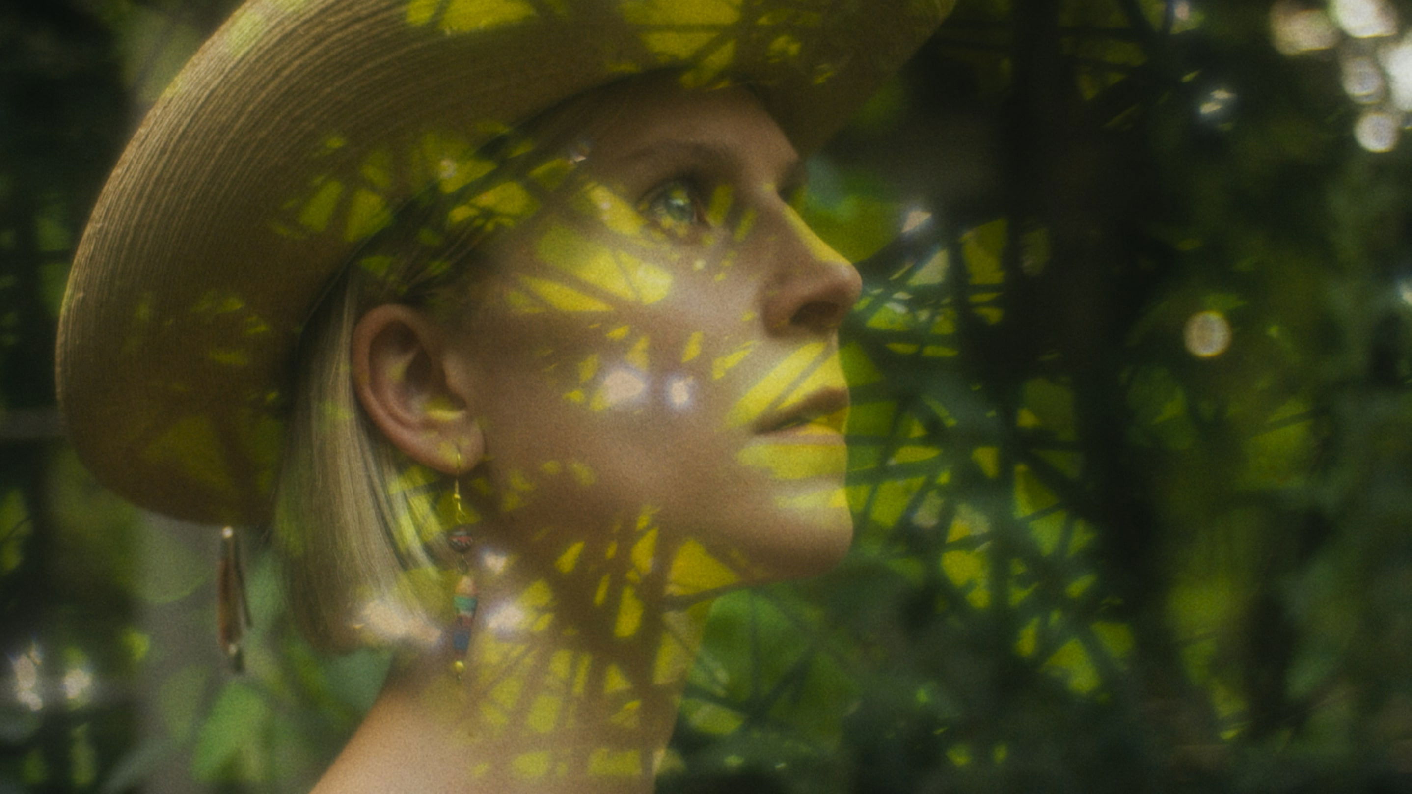 Backdrop for Desert Window