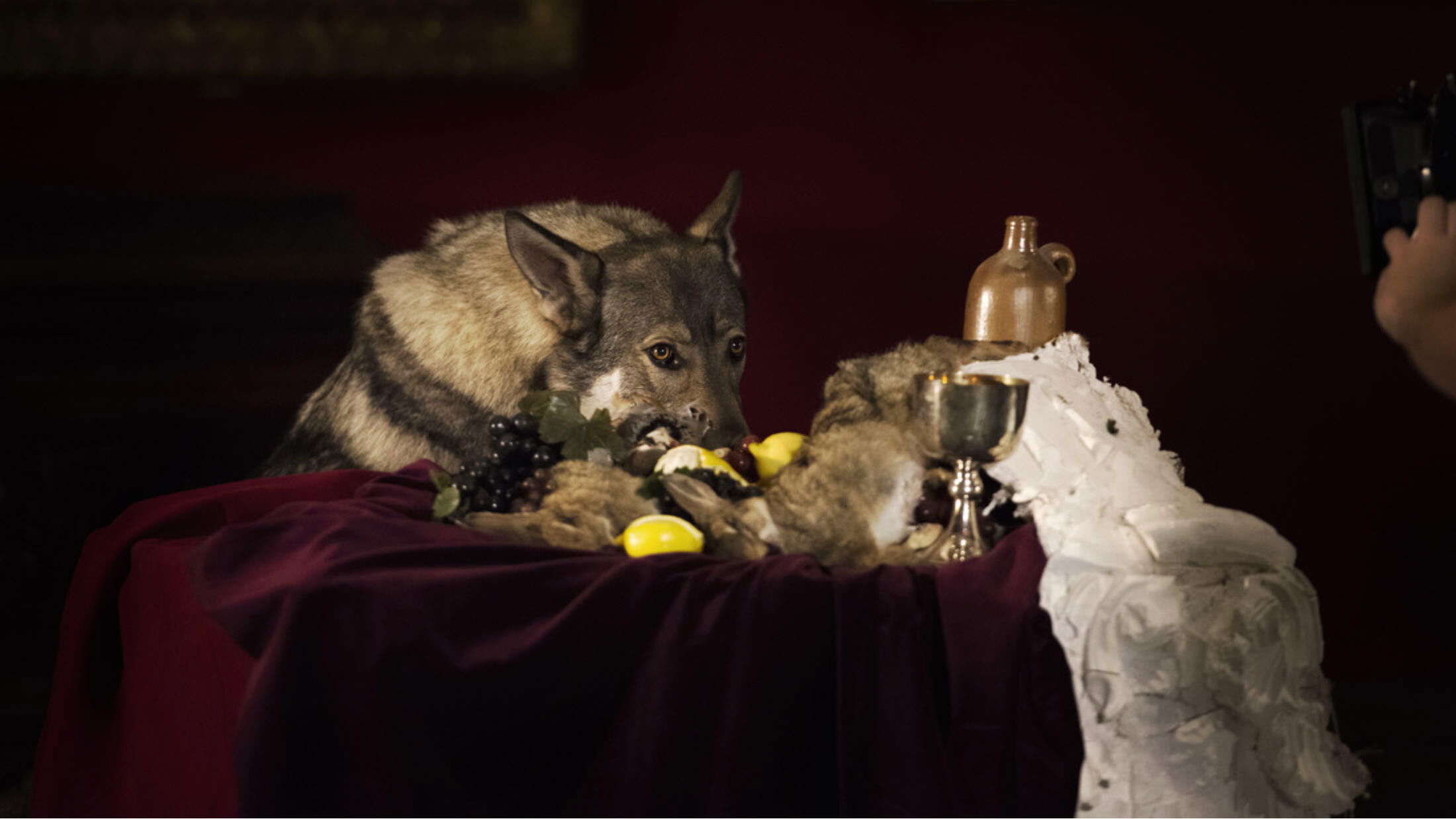 Backdrop for Two Discs and a Zed