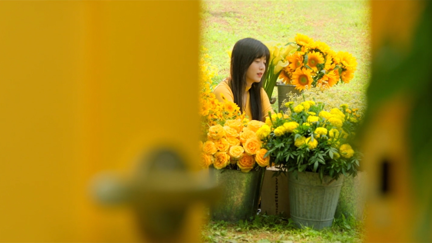 Backdrop for Dark Yellow