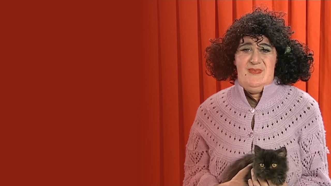 Backdrop for Elie Semoun - Elie annonce Semoun, la suite...