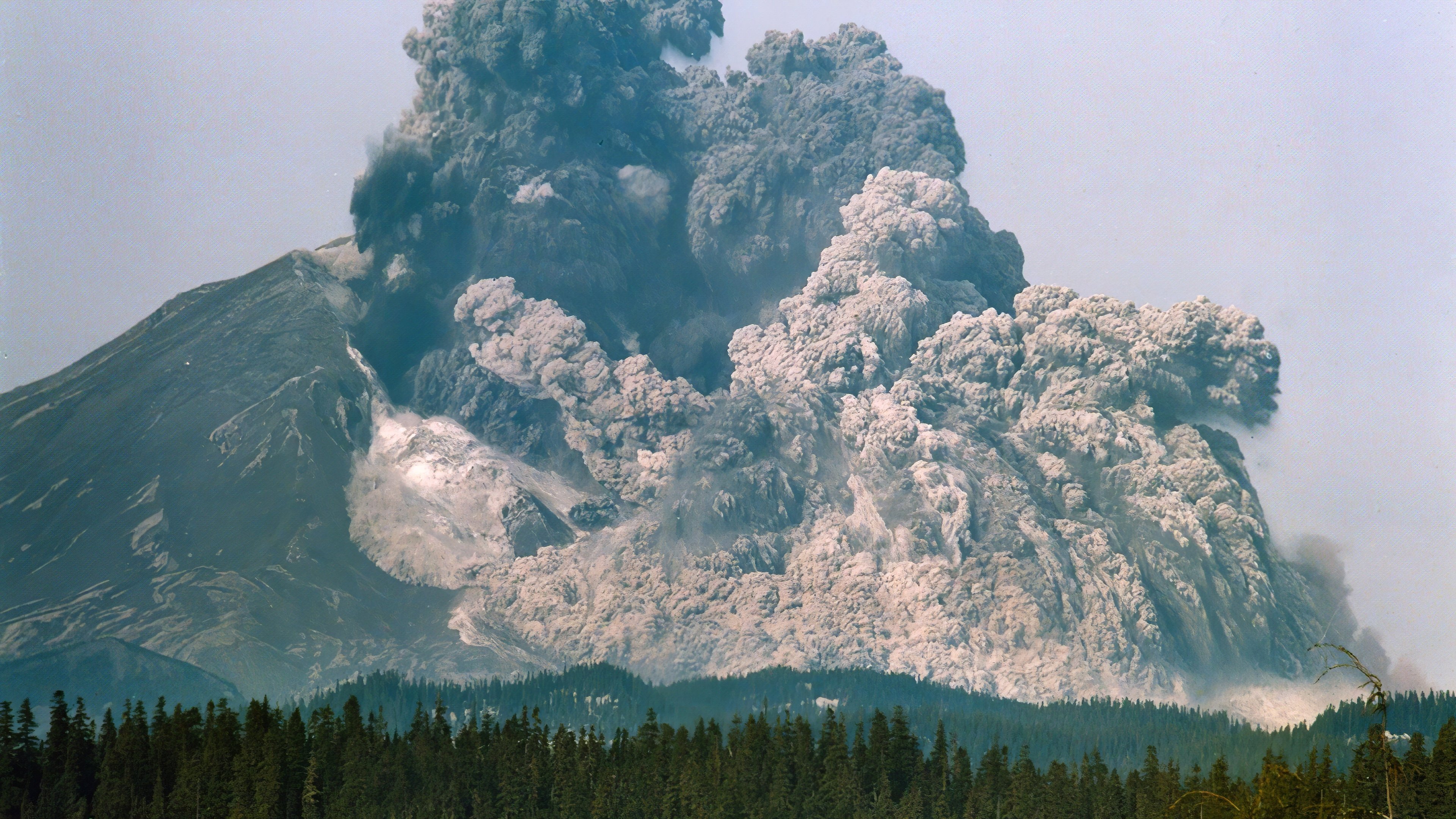 Backdrop for Surviving the Mount St. Helens Disaster