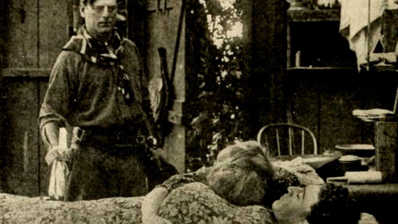 Backdrop for Broncho Billy and the Outlaw's Mother