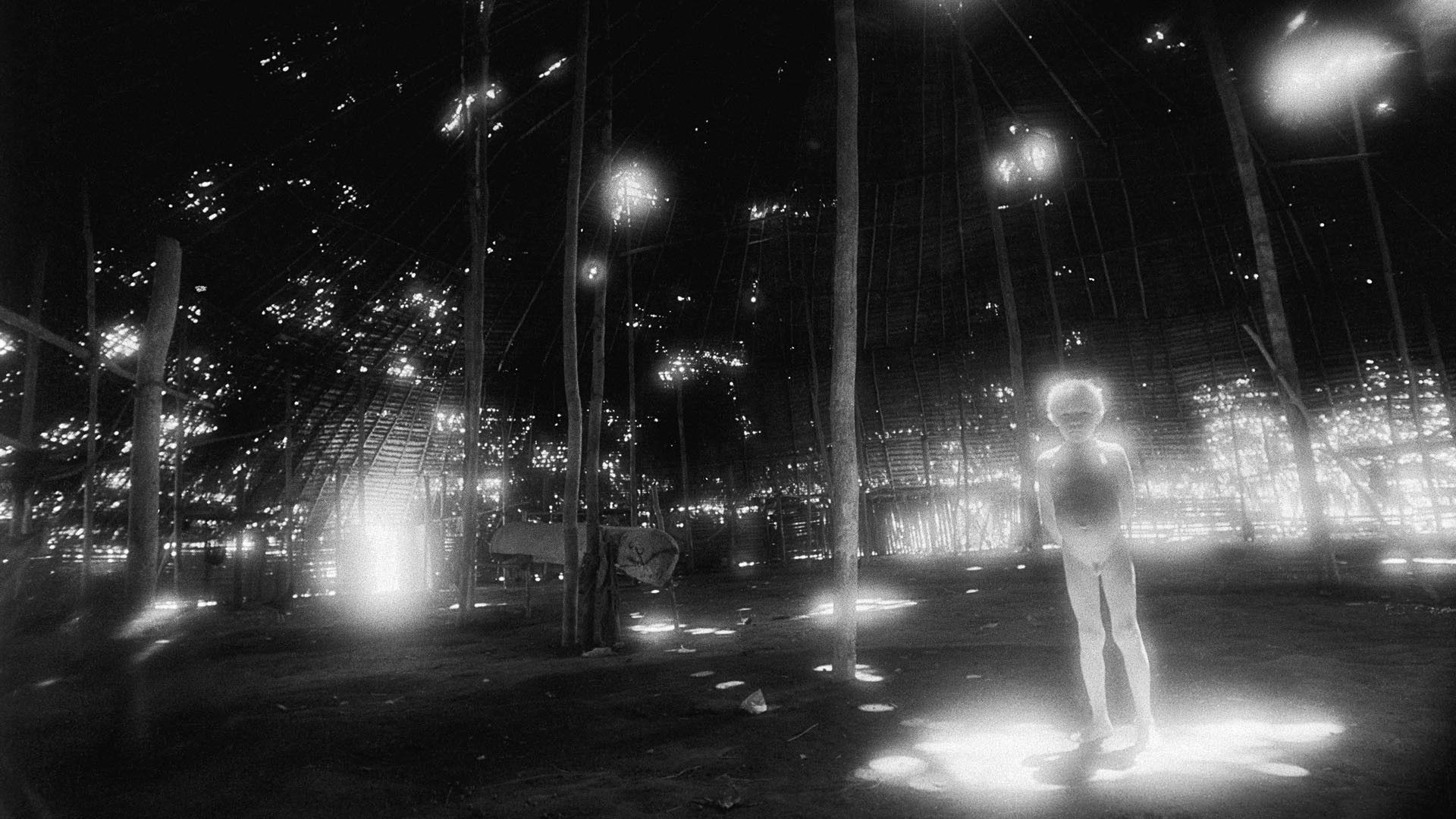 Backdrop for People of Moon, People of Blood: Yanomami document 1972-1982