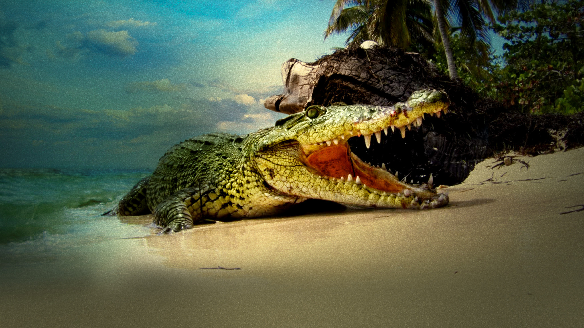 Backdrop for Life and Death in Paradise: Crocs of the Caribbean