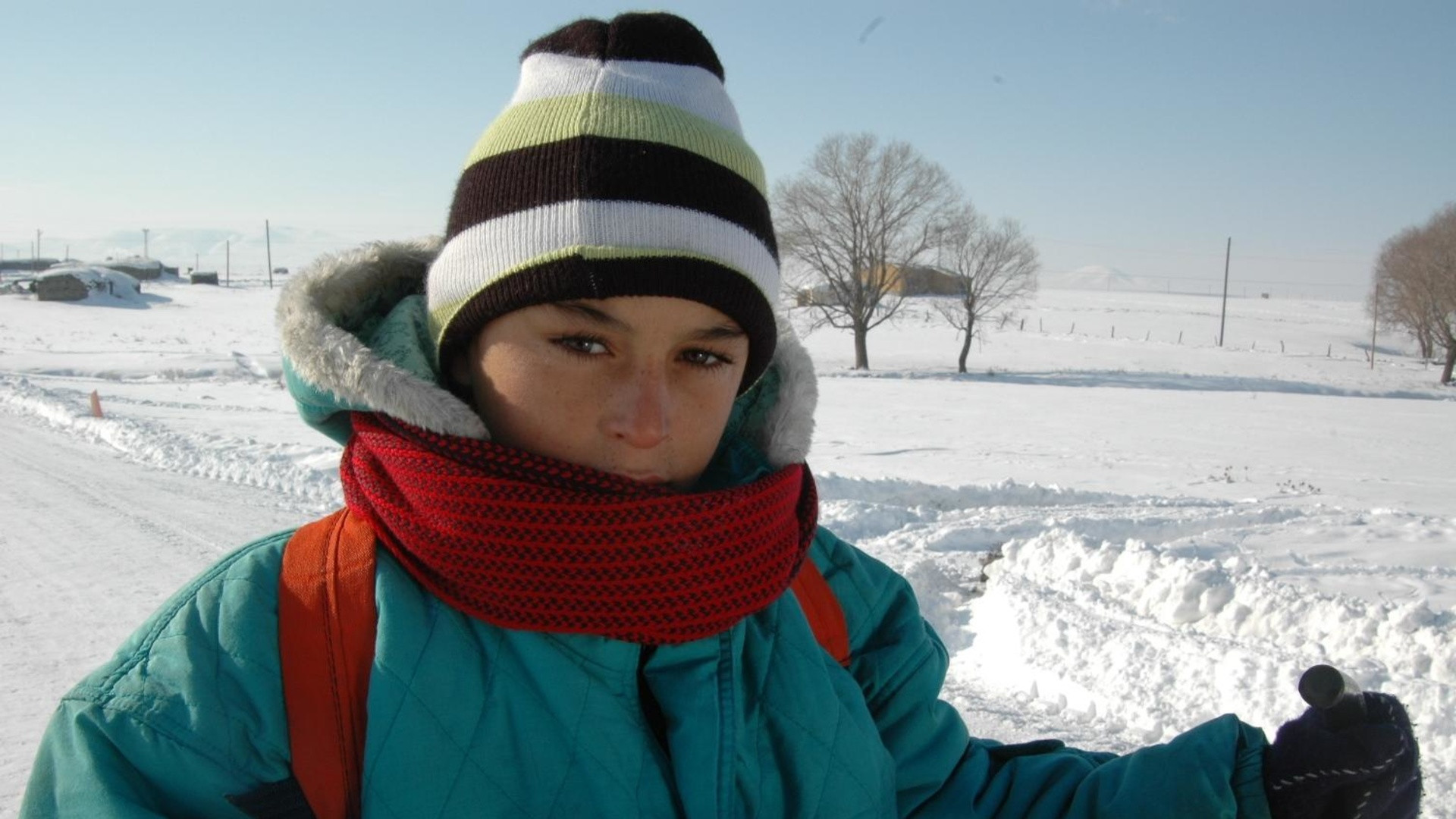 Backdrop for Moto Guzzi