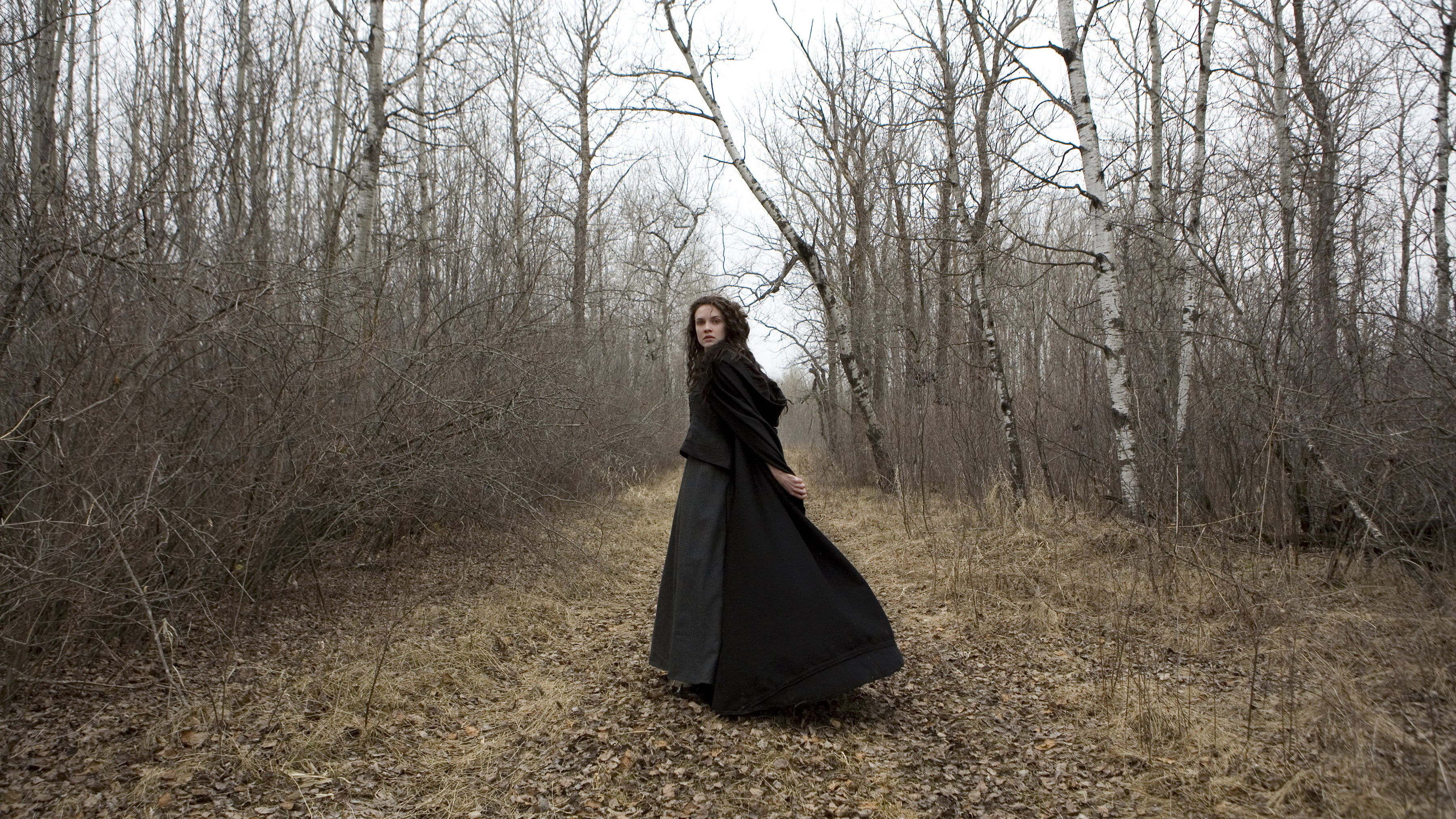 Backdrop for Black Field