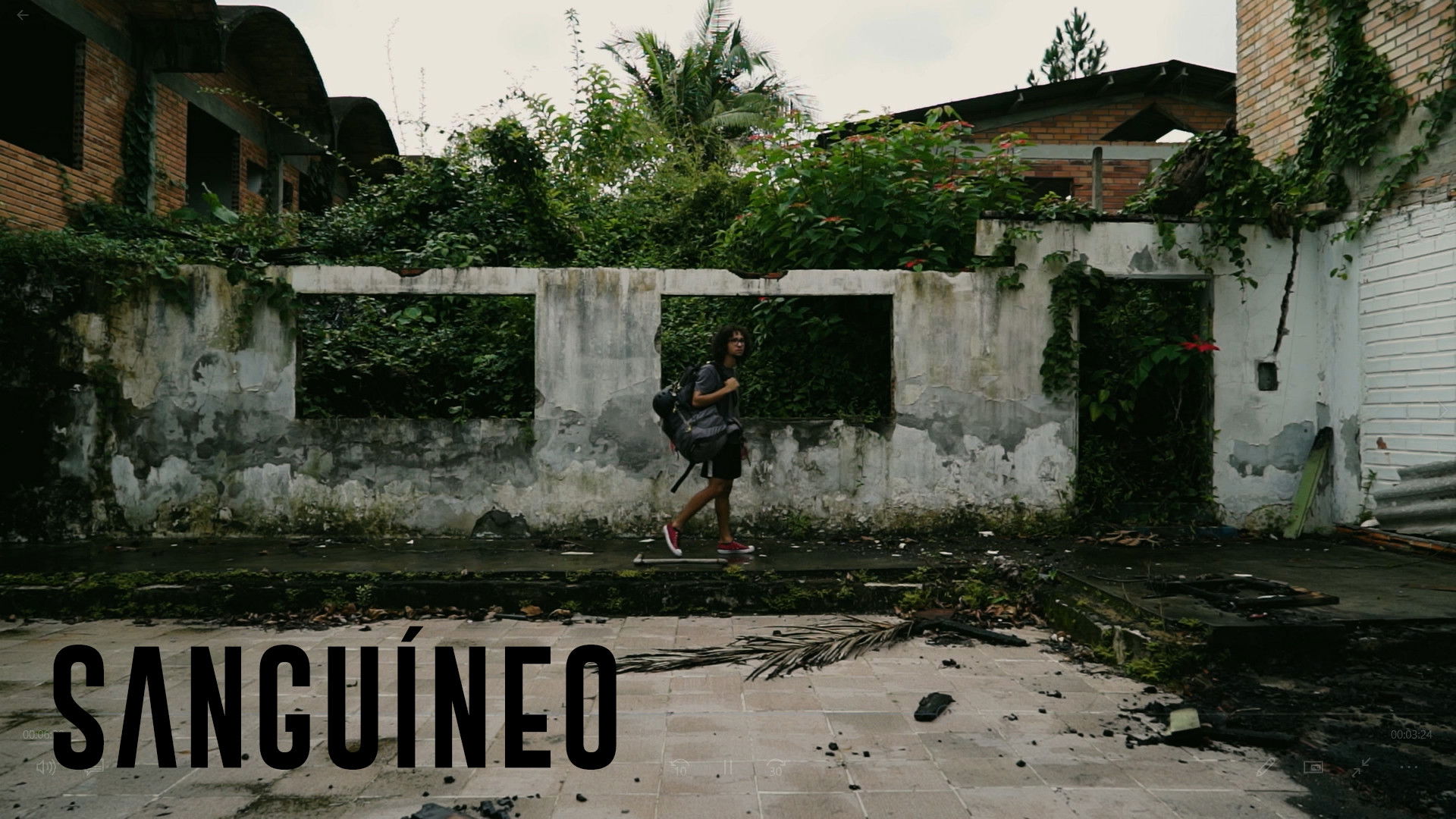 Backdrop for SANGUINEOUS