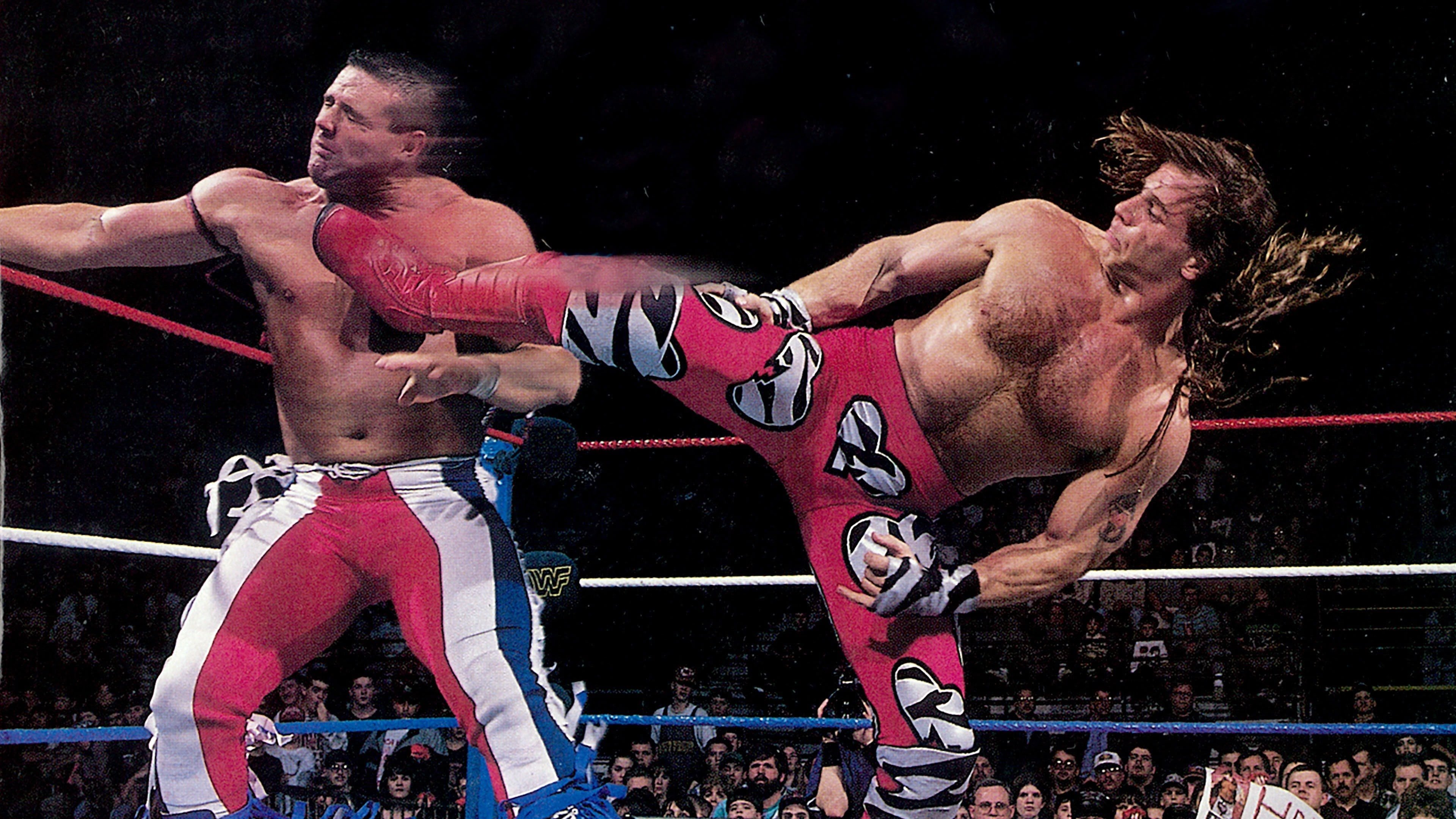 Backdrop for WWE In Your House 9: International Incident