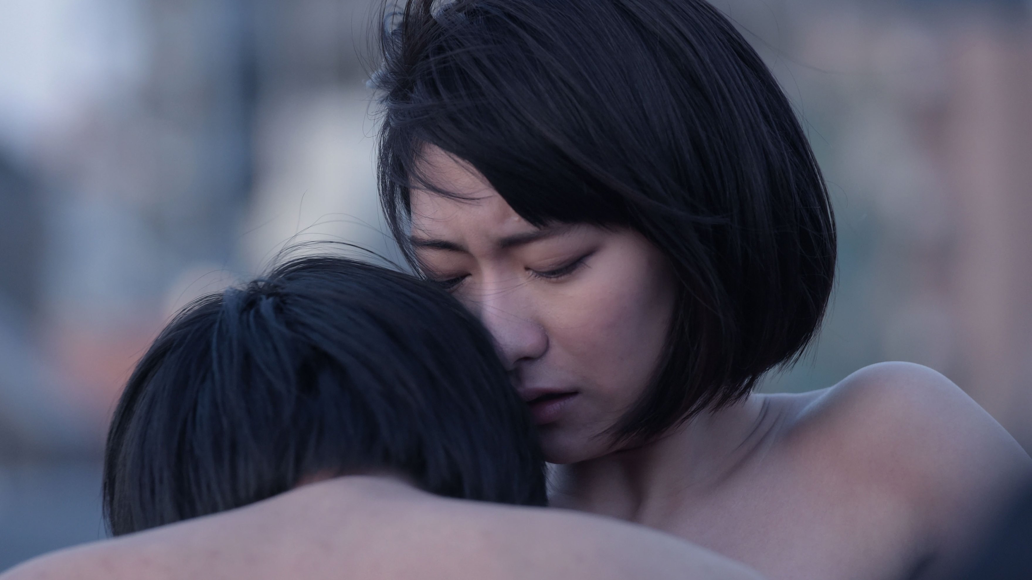 Backdrop for Dawn of the Felines