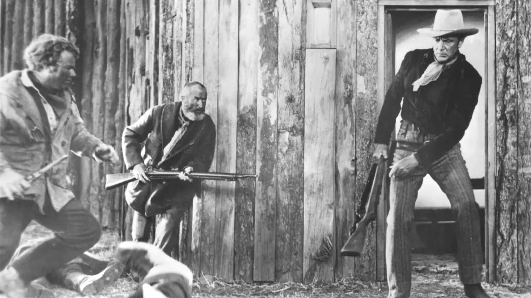 Backdrop for Springfield Rifle