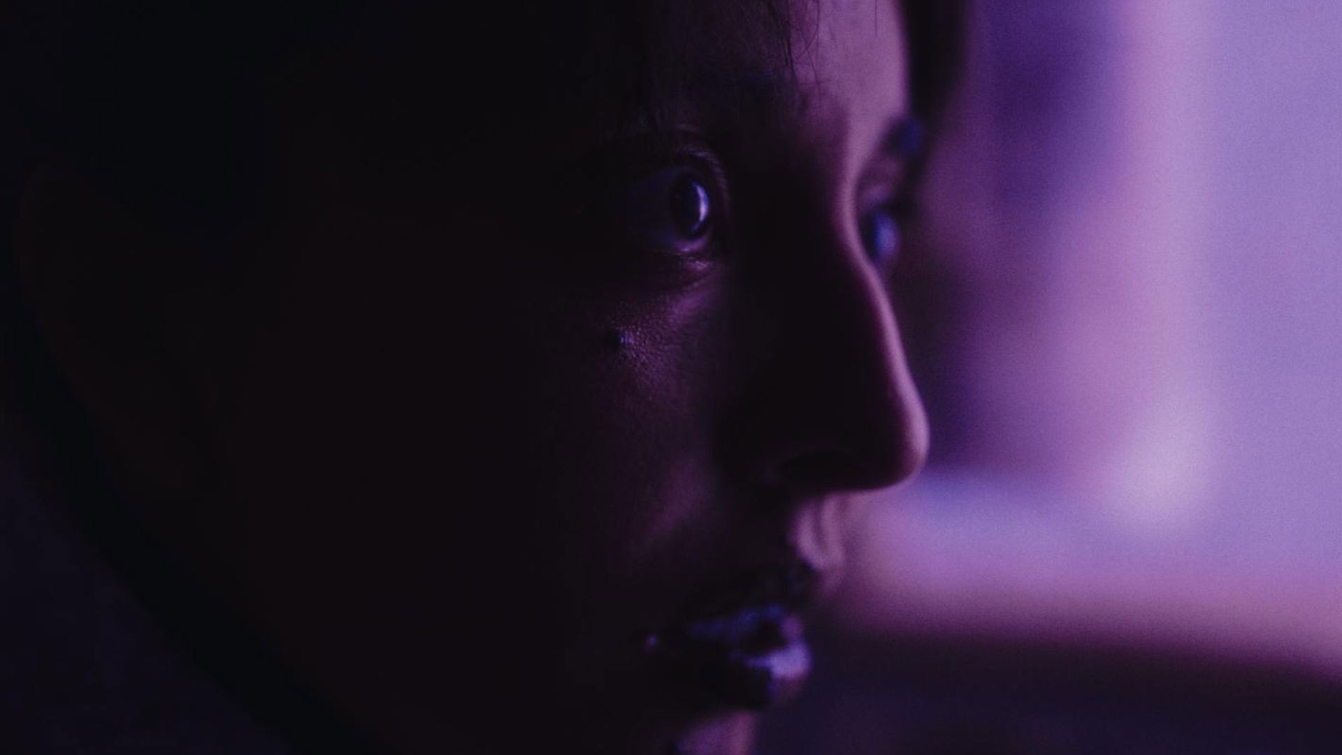 Backdrop for Cuando los gatos no maúllan