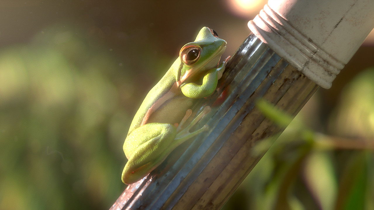 Backdrop for Garden Party