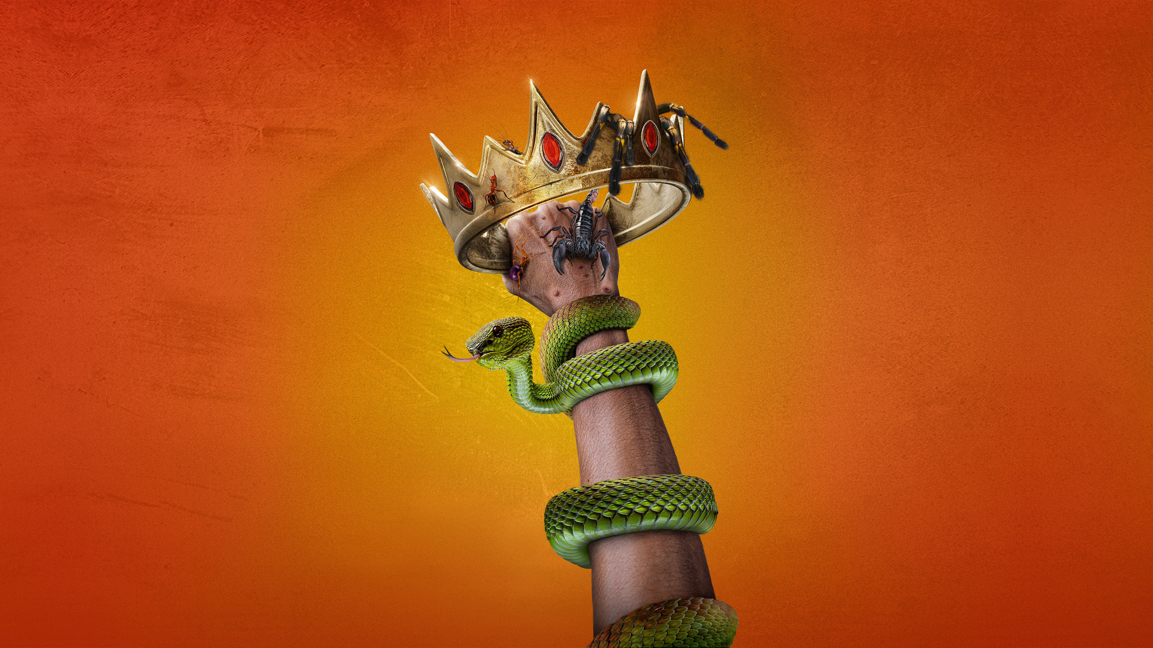 Backdrop for Kings of Pain