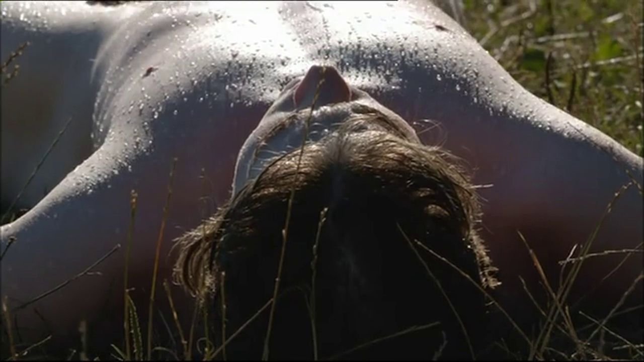 Backdrop for The First Summer