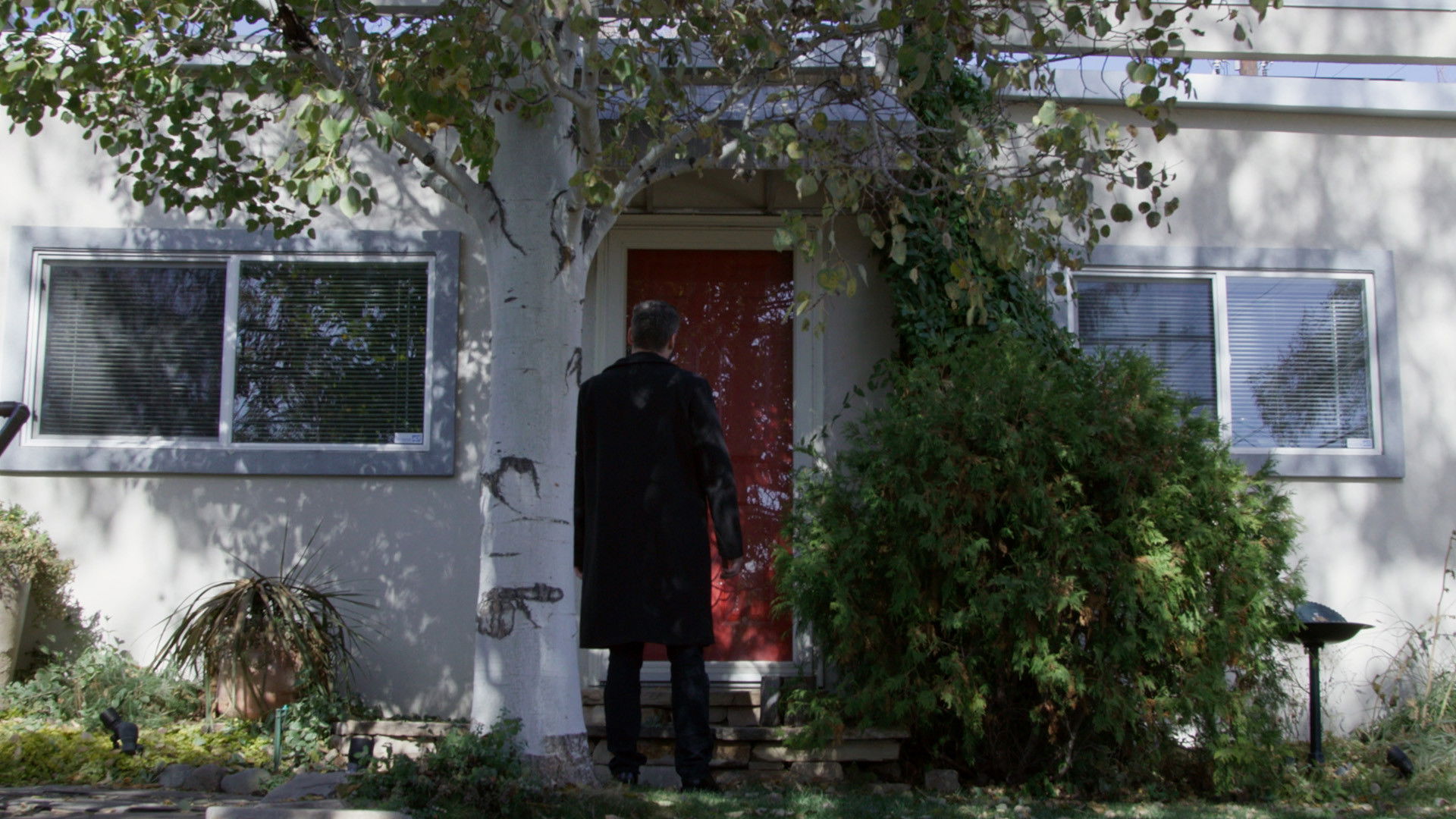 Backdrop for Every Last Breath