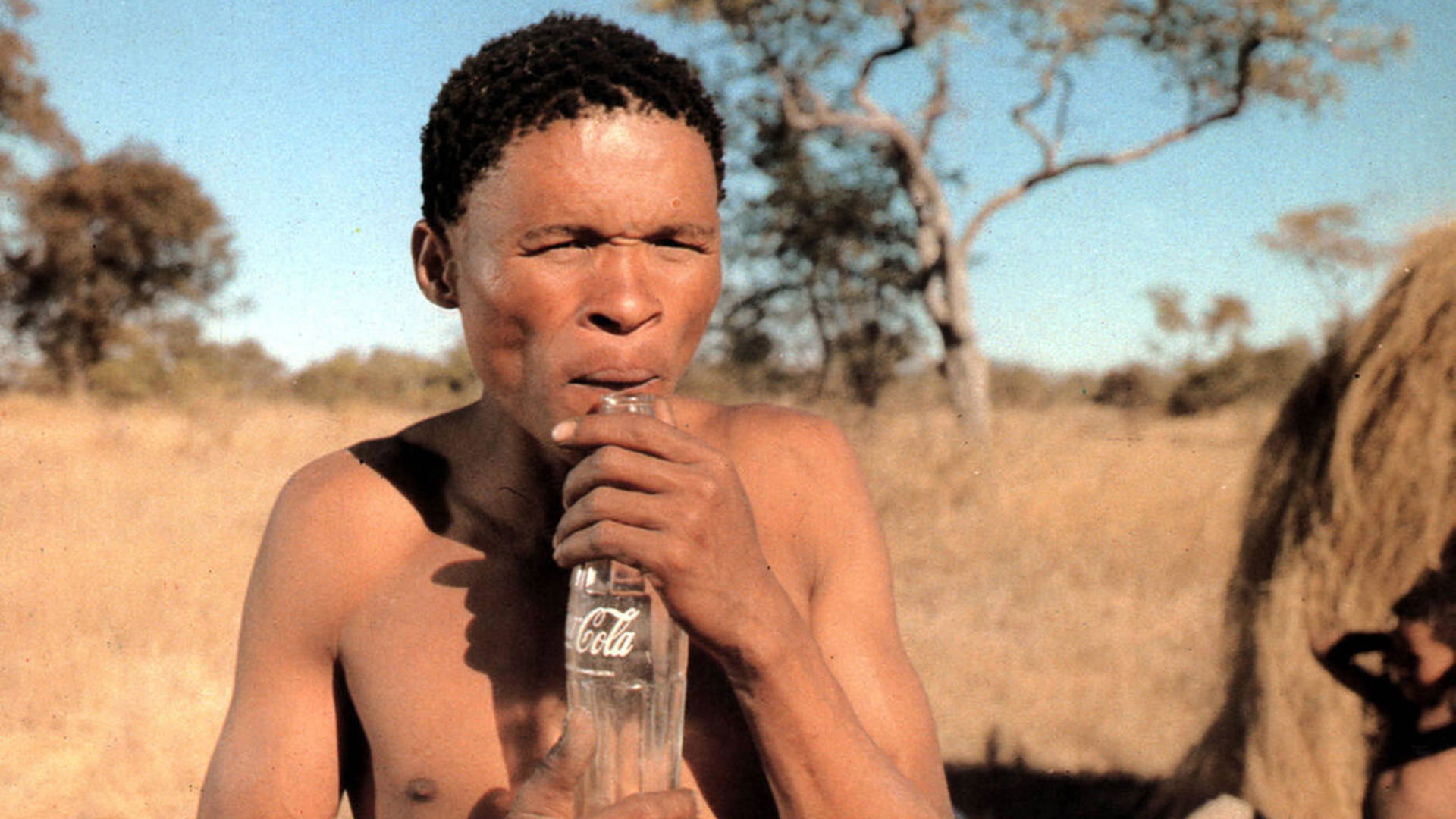 Backdrop for The Gods Must Be Crazy