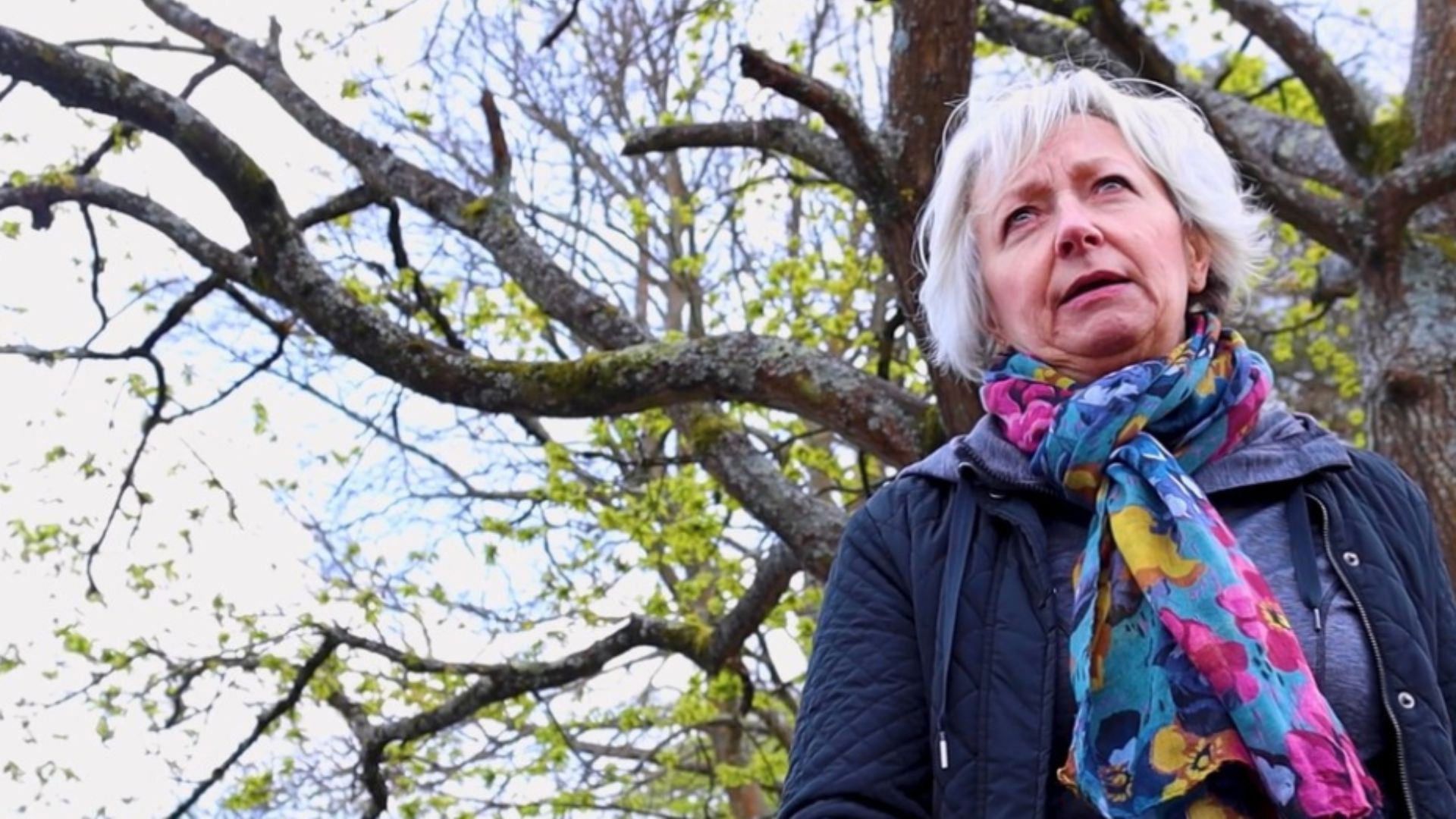 Backdrop for Relight