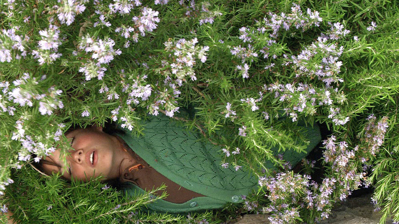 Backdrop for Times and Winds