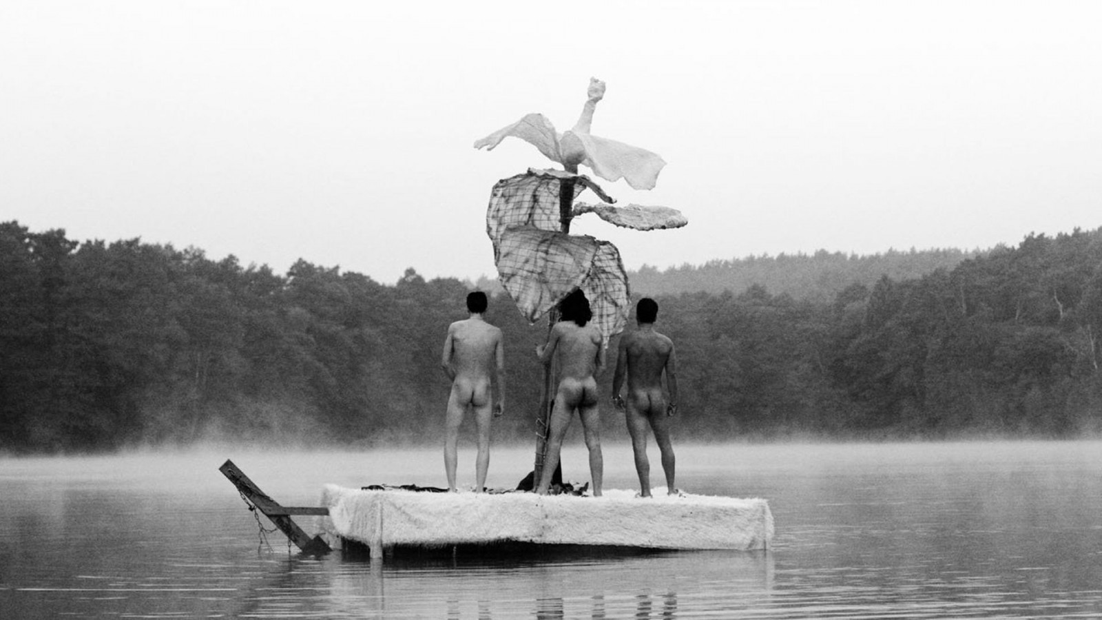 Backdrop for Black Sheep