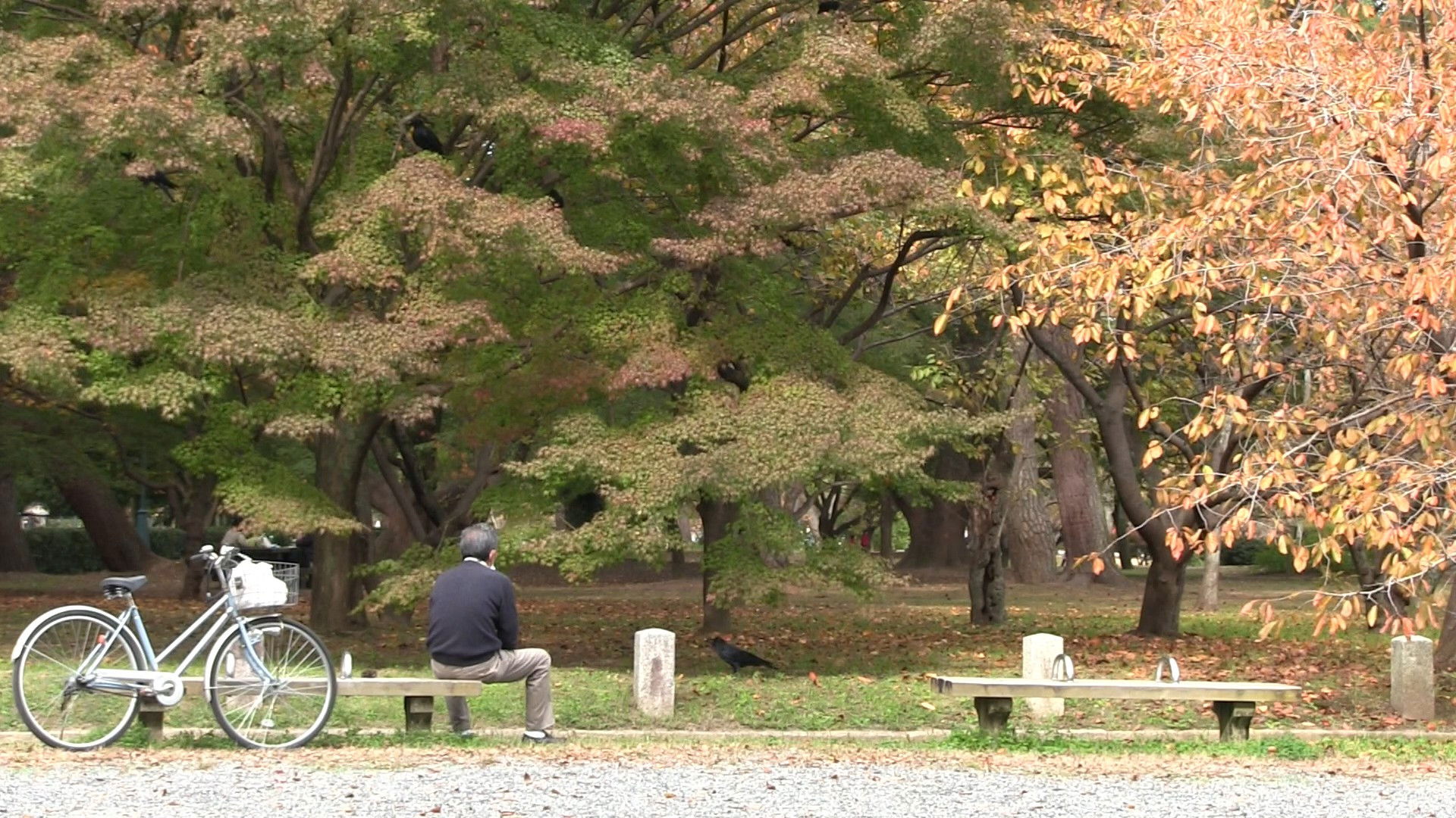 Backdrop for Late Season