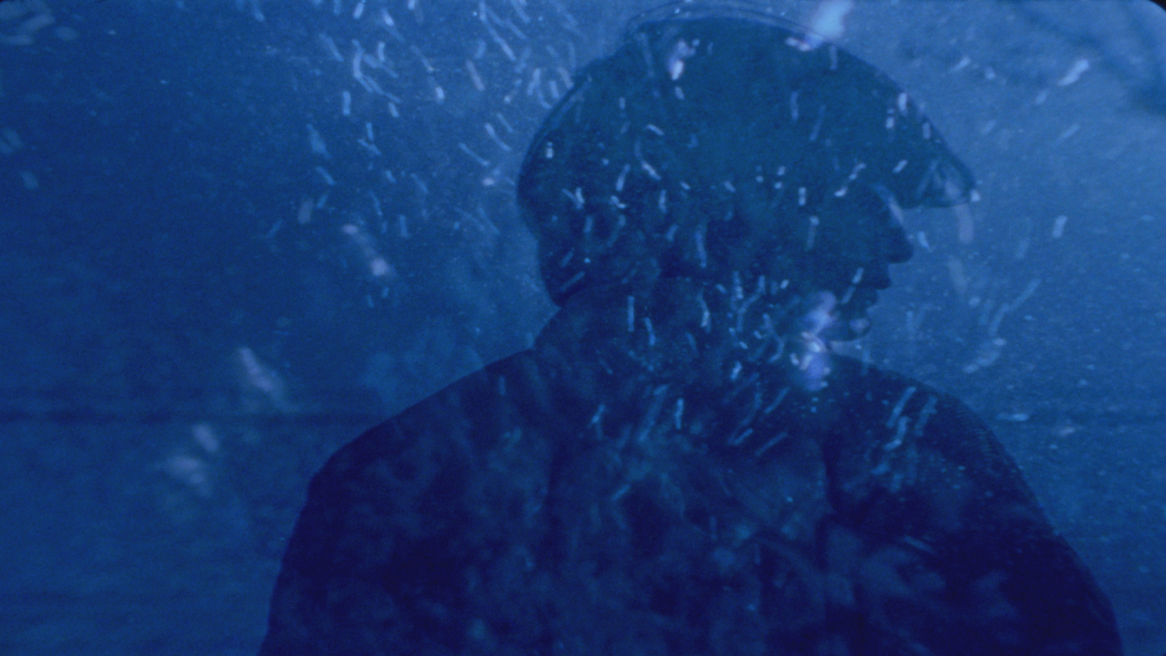 Backdrop for Humongous!