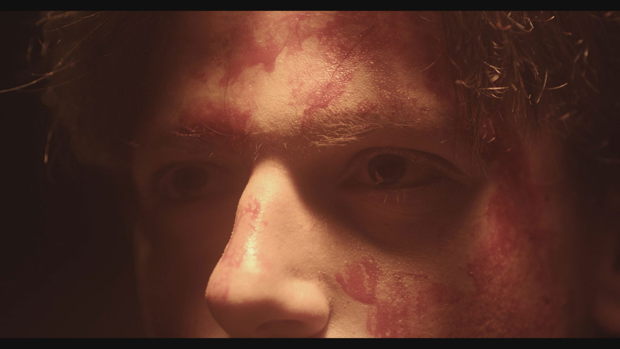 Backdrop for Te Veré Donde Los Árboles