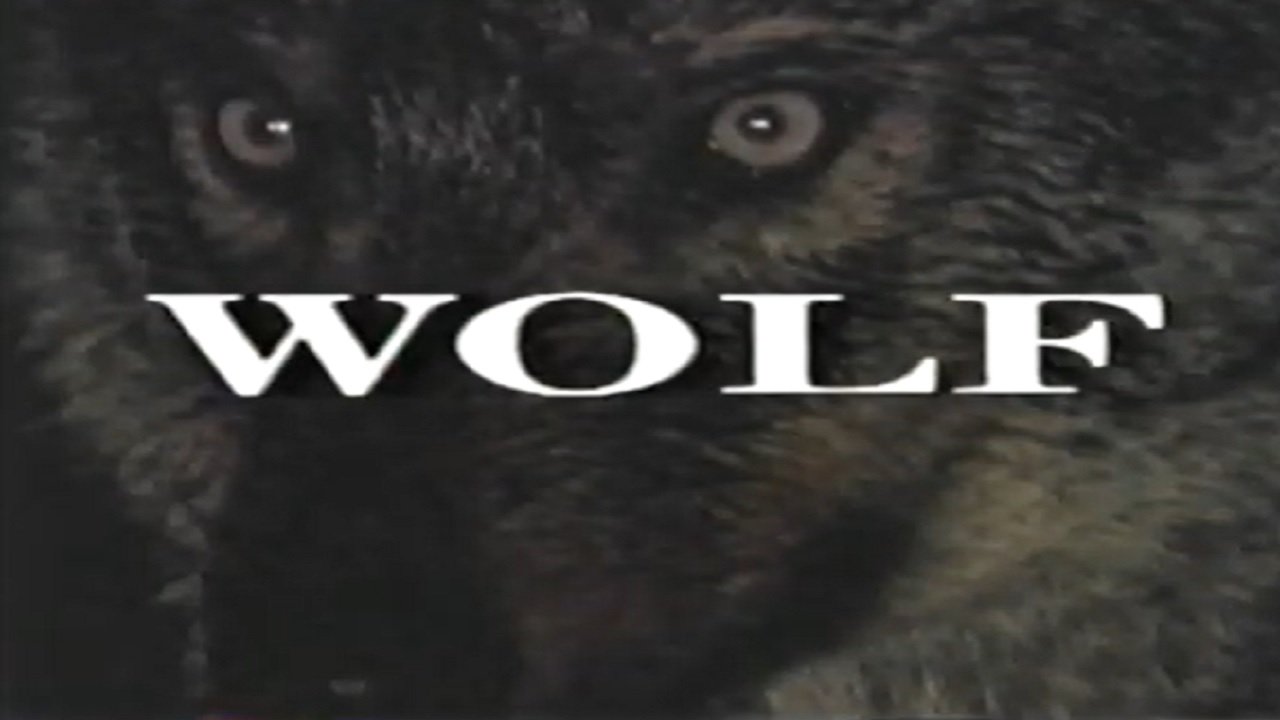 Backdrop for Predators of the Wild: Wolf