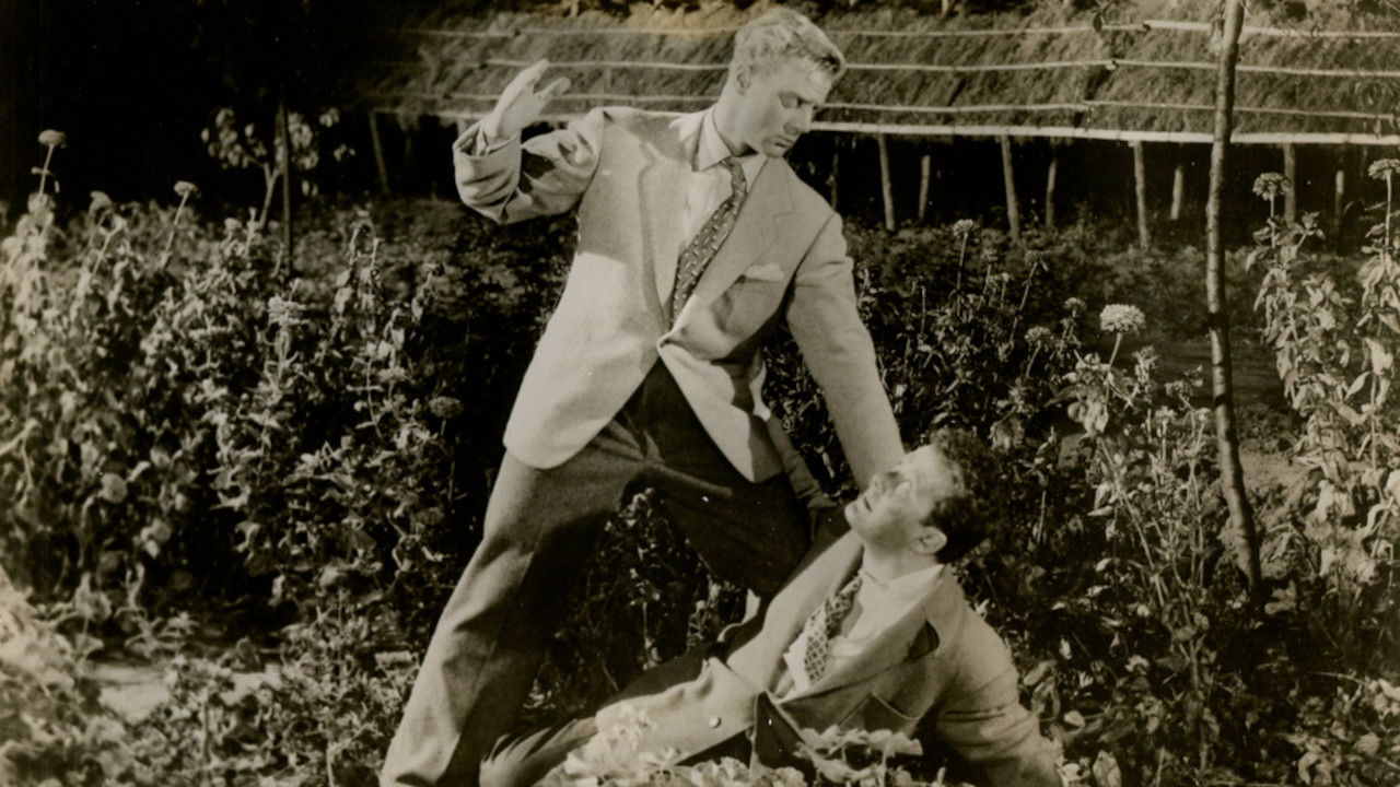 Backdrop for The Amazing Mr. Callaghan