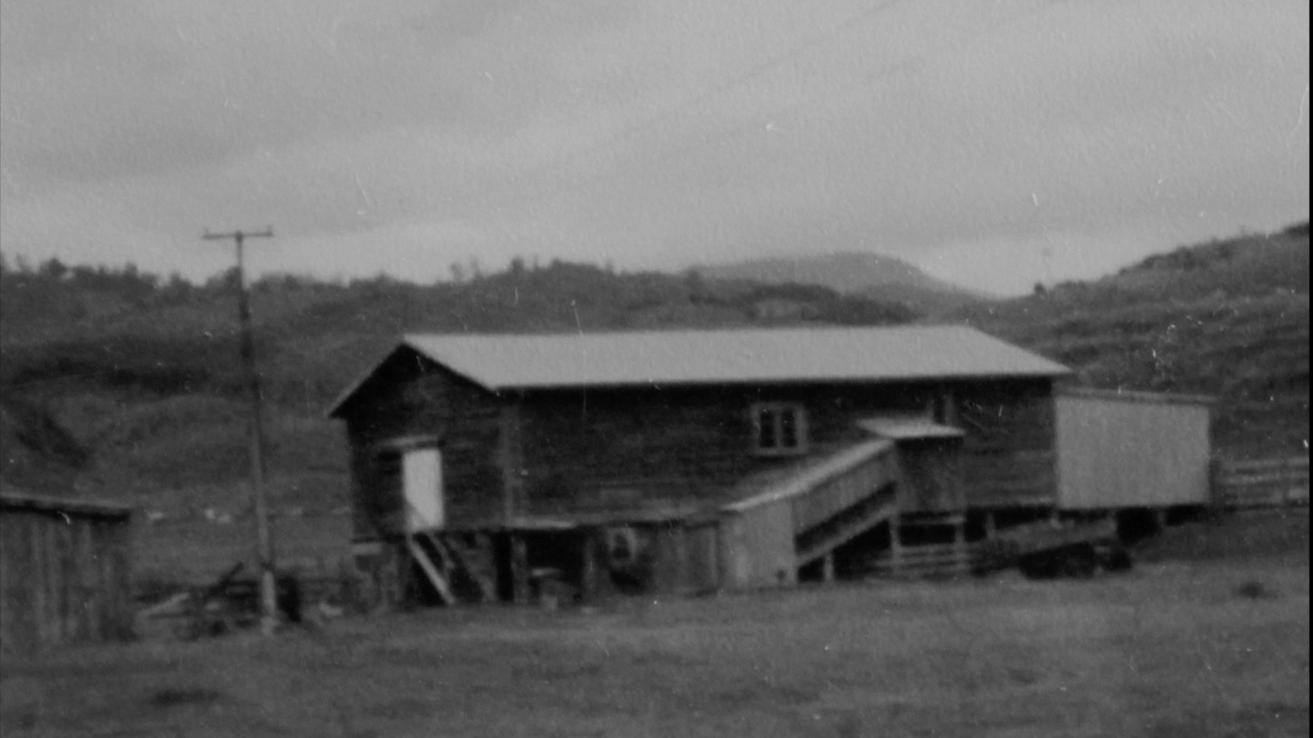 Backdrop for Nightshave