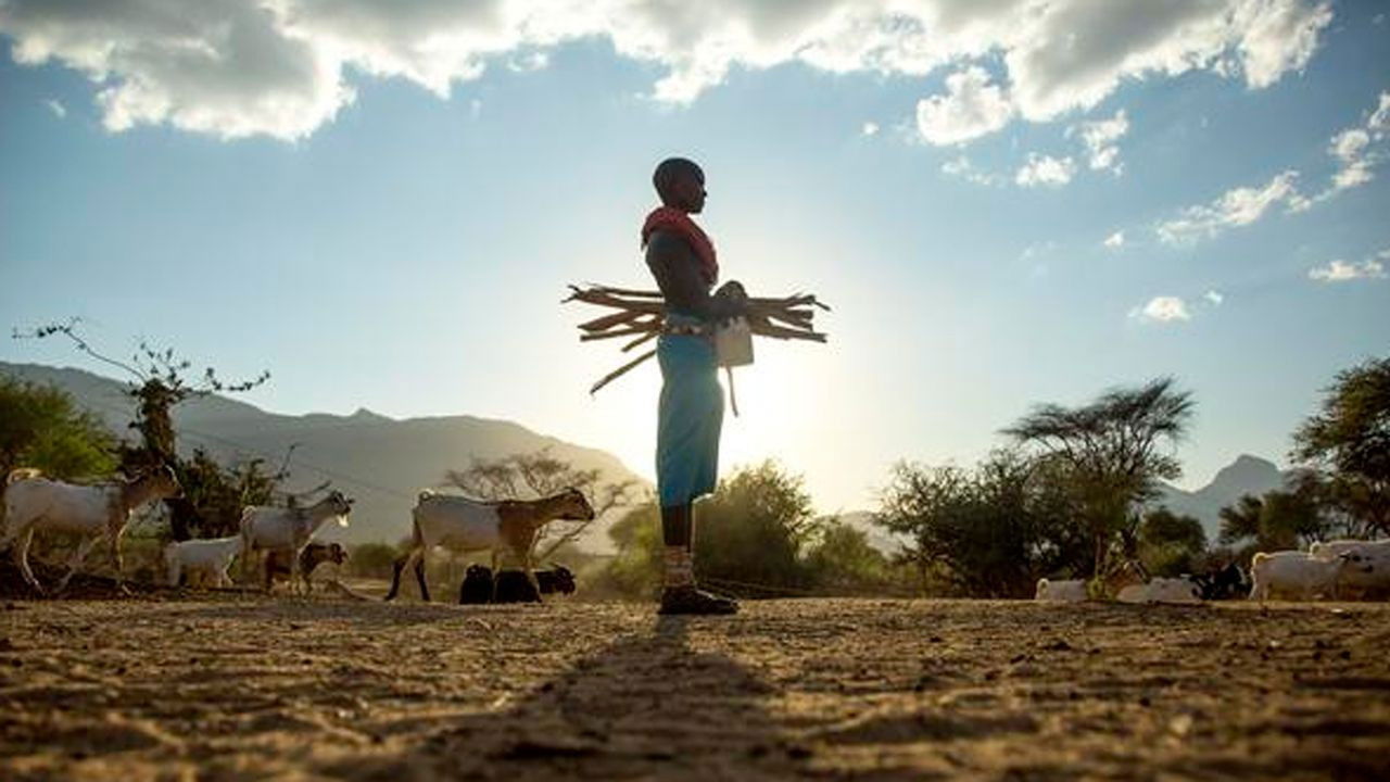 Backdrop for My Africa