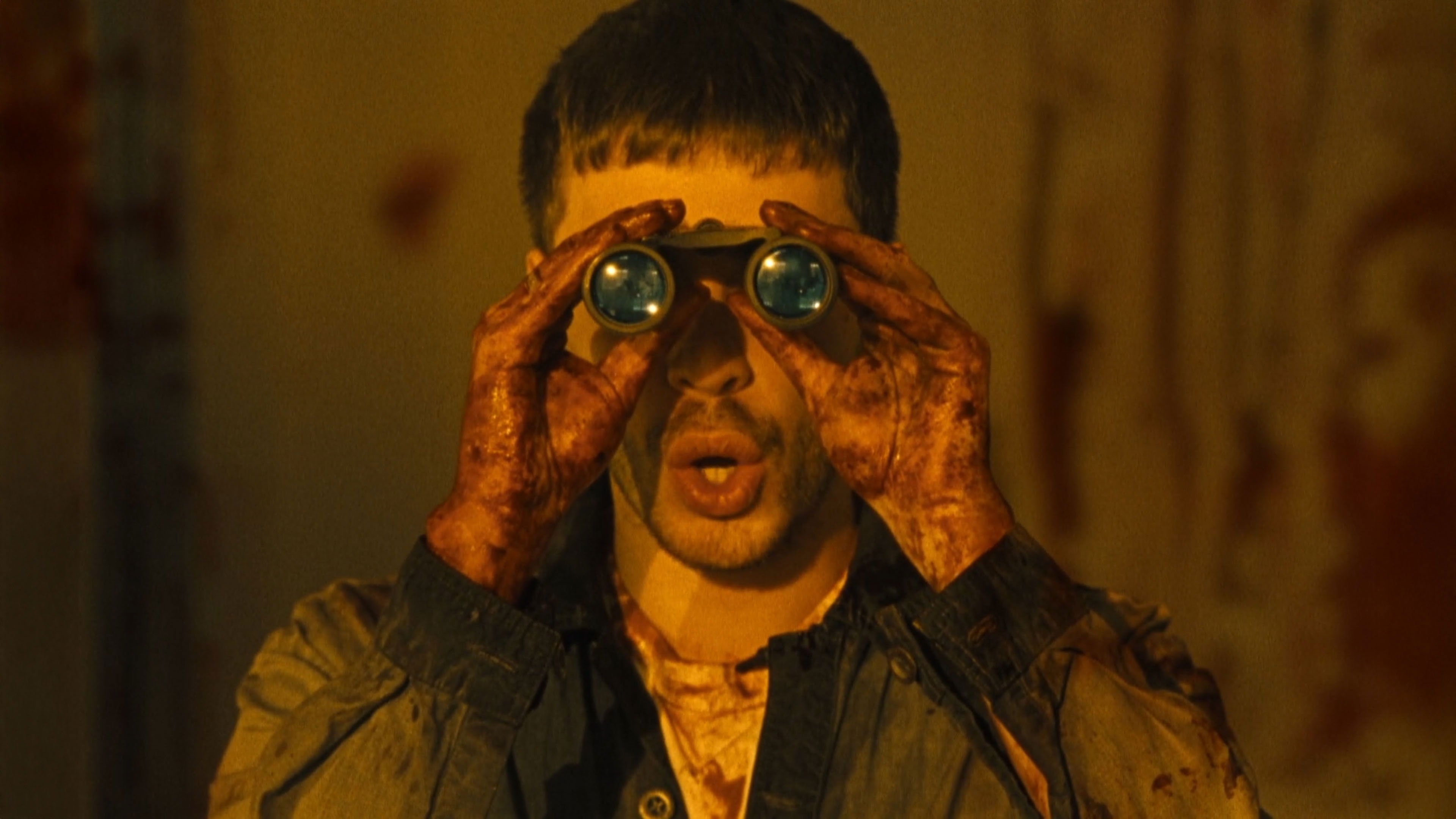 Backdrop for Husky – Never-someday