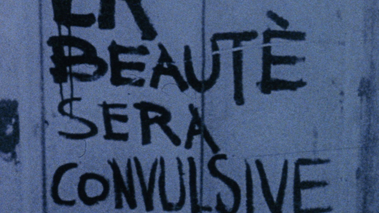 Backdrop for A Film Like Any Other