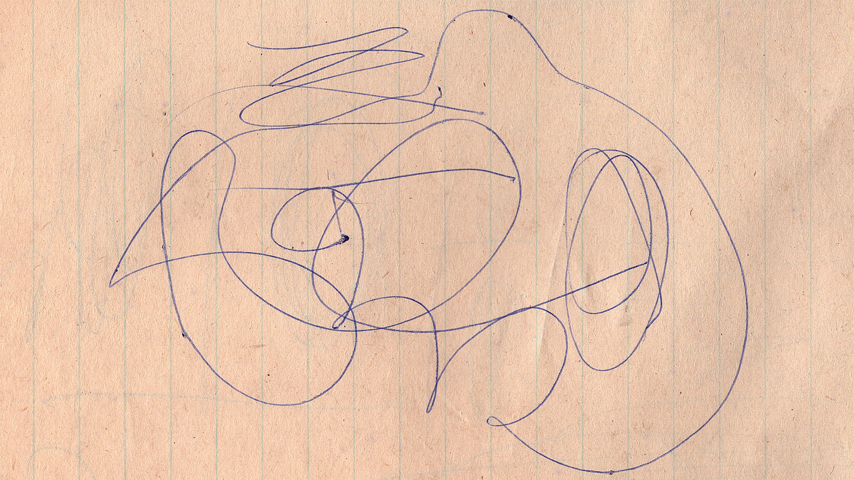 Backdrop for Paper Trail