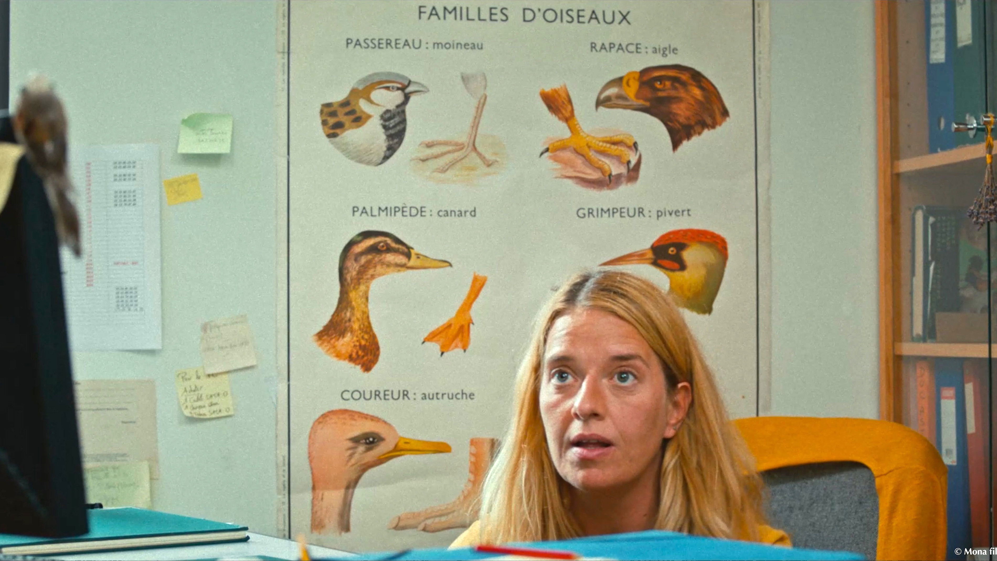 Backdrop for Cui Cui Cui