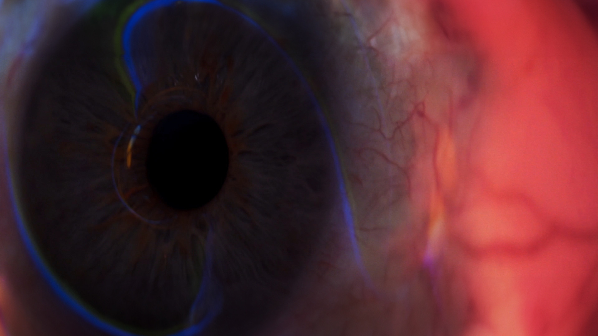 Backdrop for A Visual Poem