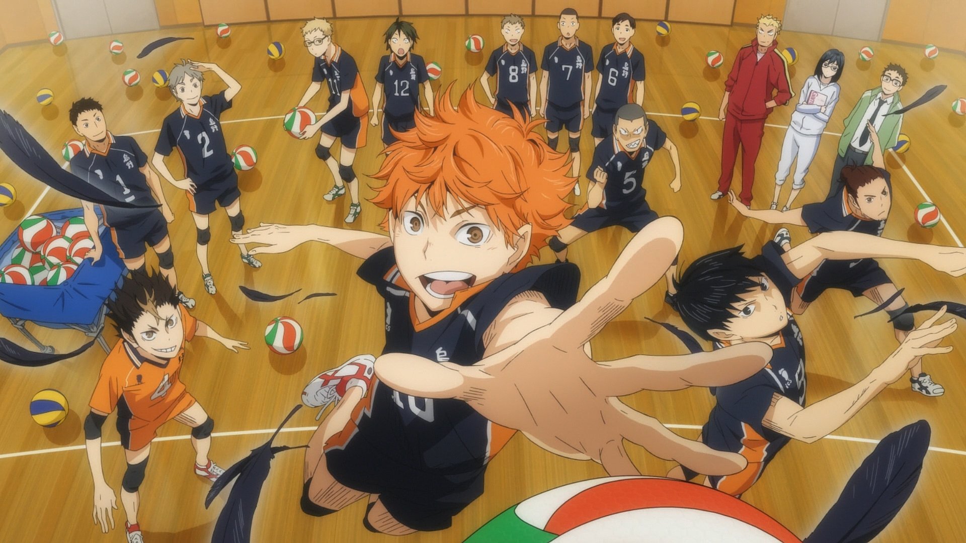 Backdrop for Haikyu!!