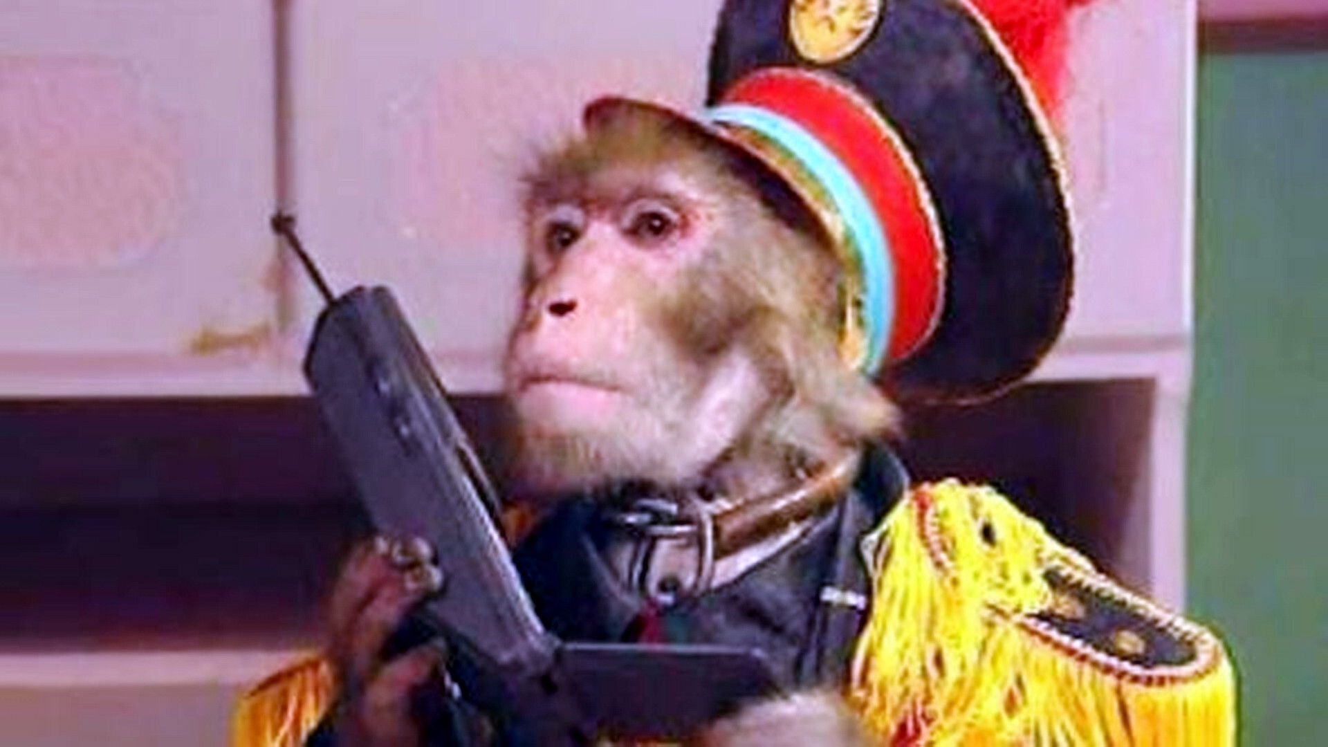 Backdrop for 动物王国窃案